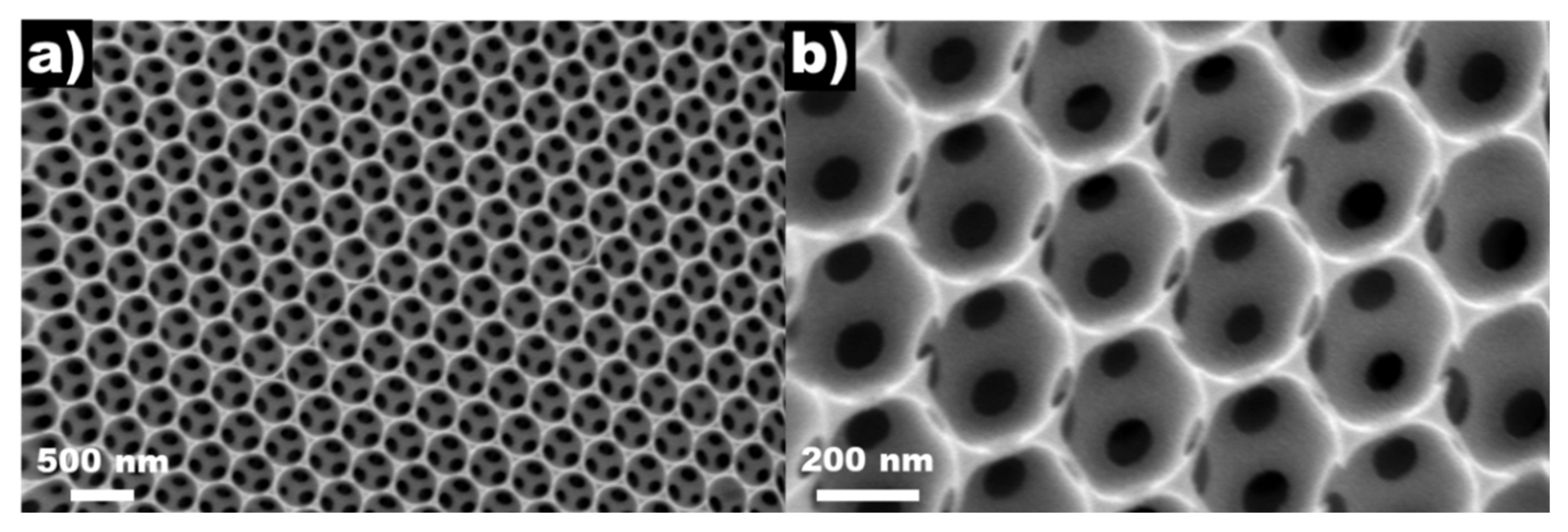 Catalysts 10 01252 g001 Catalysts 10 01252 g001