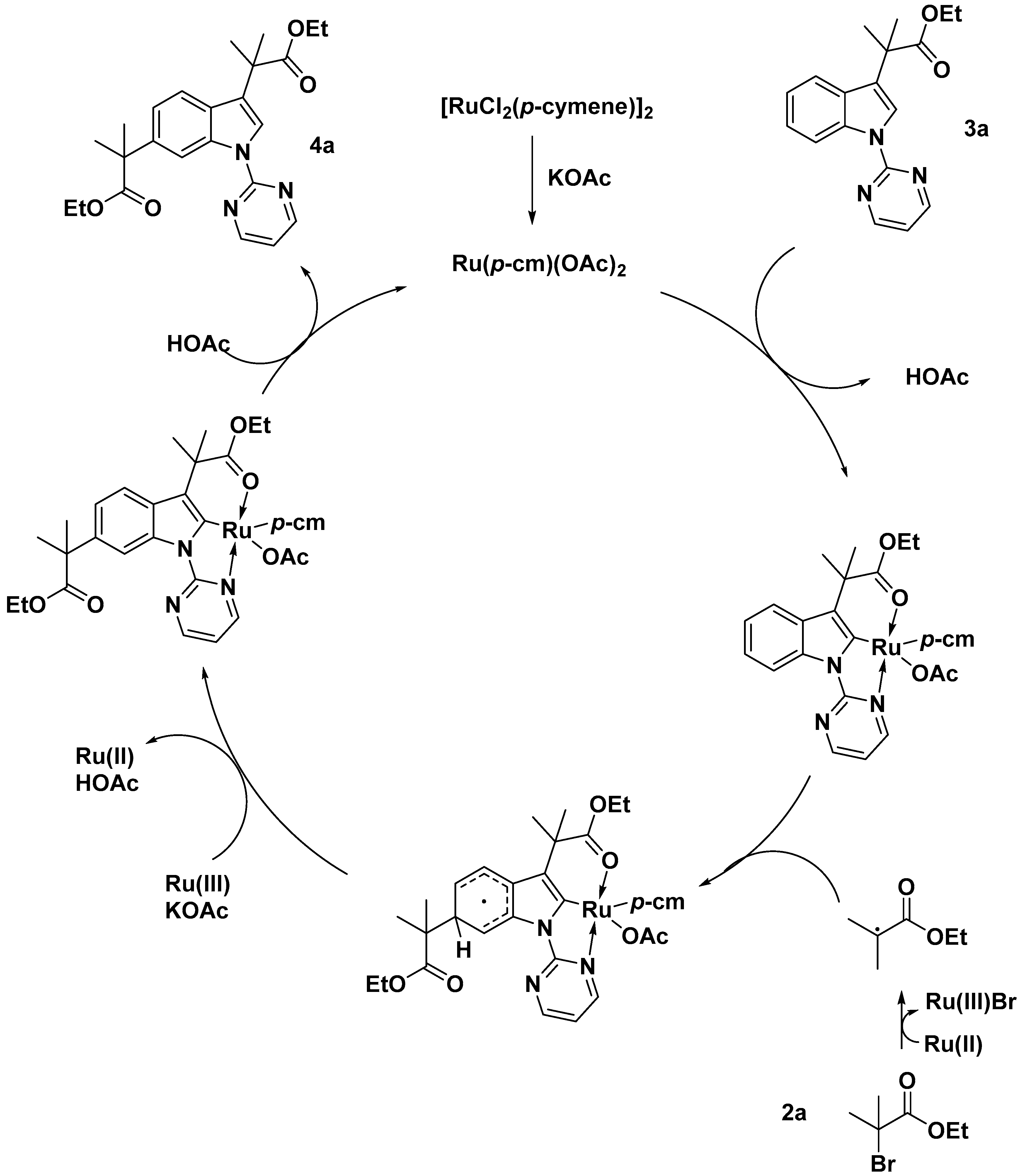 Catalysts 10 01253 sch039 Catalysts 10 01253 sch039