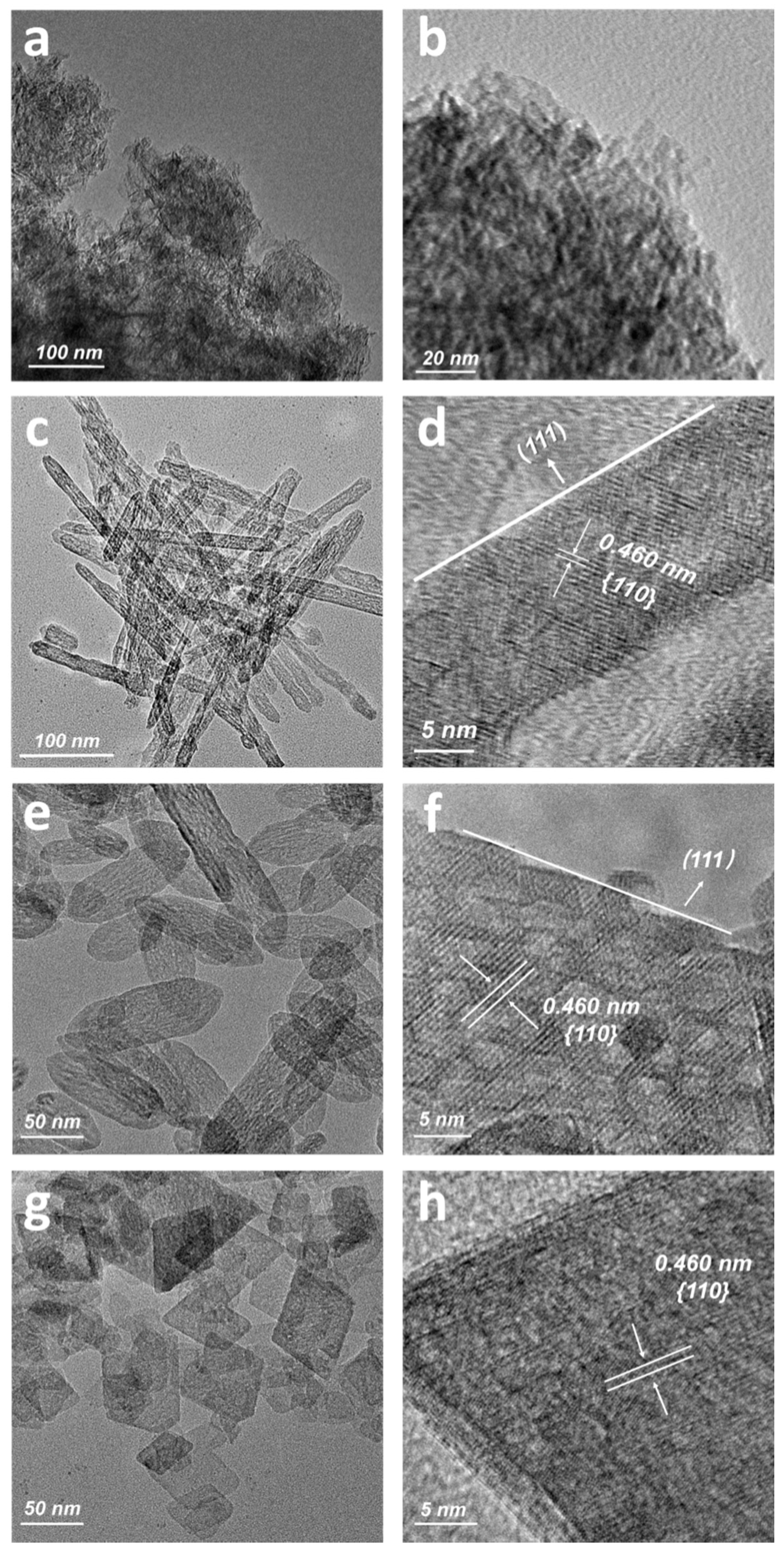 Catalysts 10 01254 g001 Catalysts 10 01254 g001