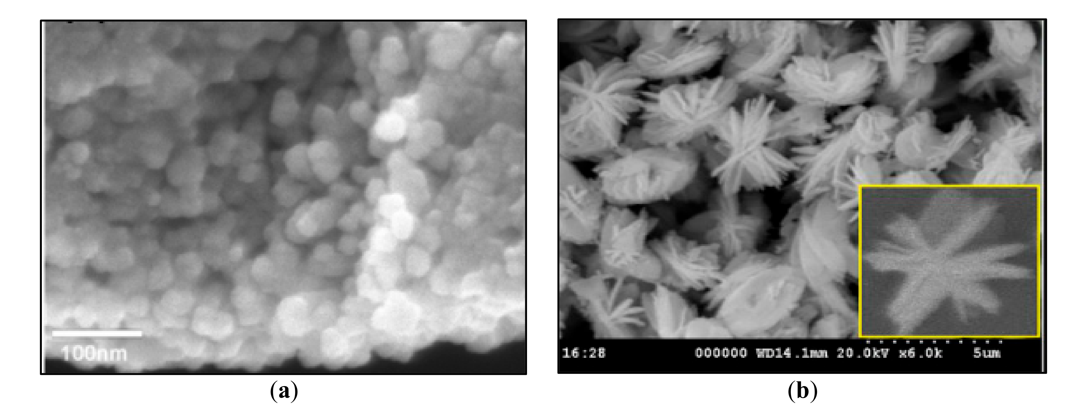 Catalysts 10 01260 g014 Catalysts 10 01260 g014