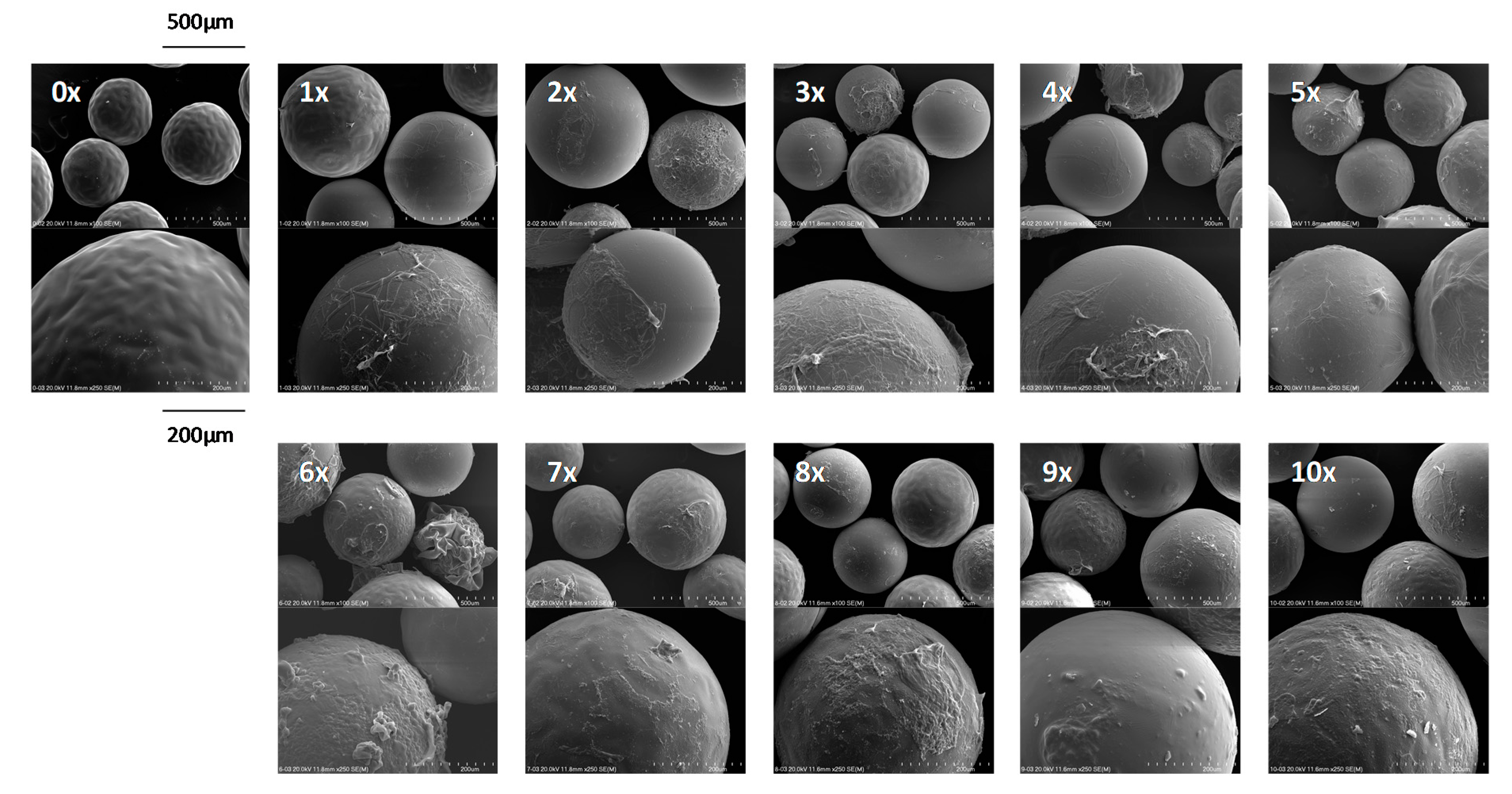Catalysts 10 01261 g007