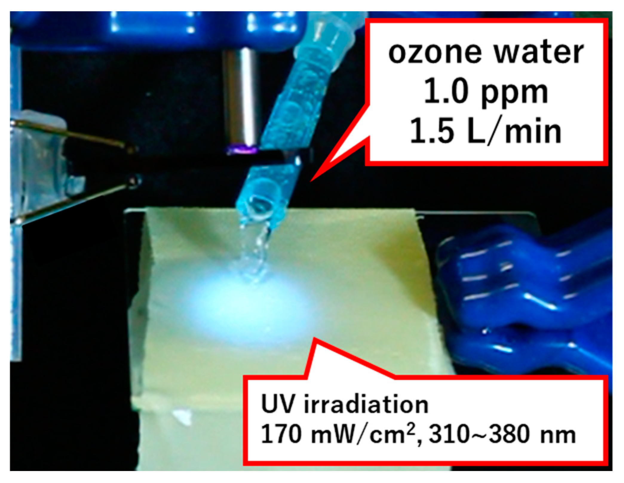 Catalysts 10 01265 g014