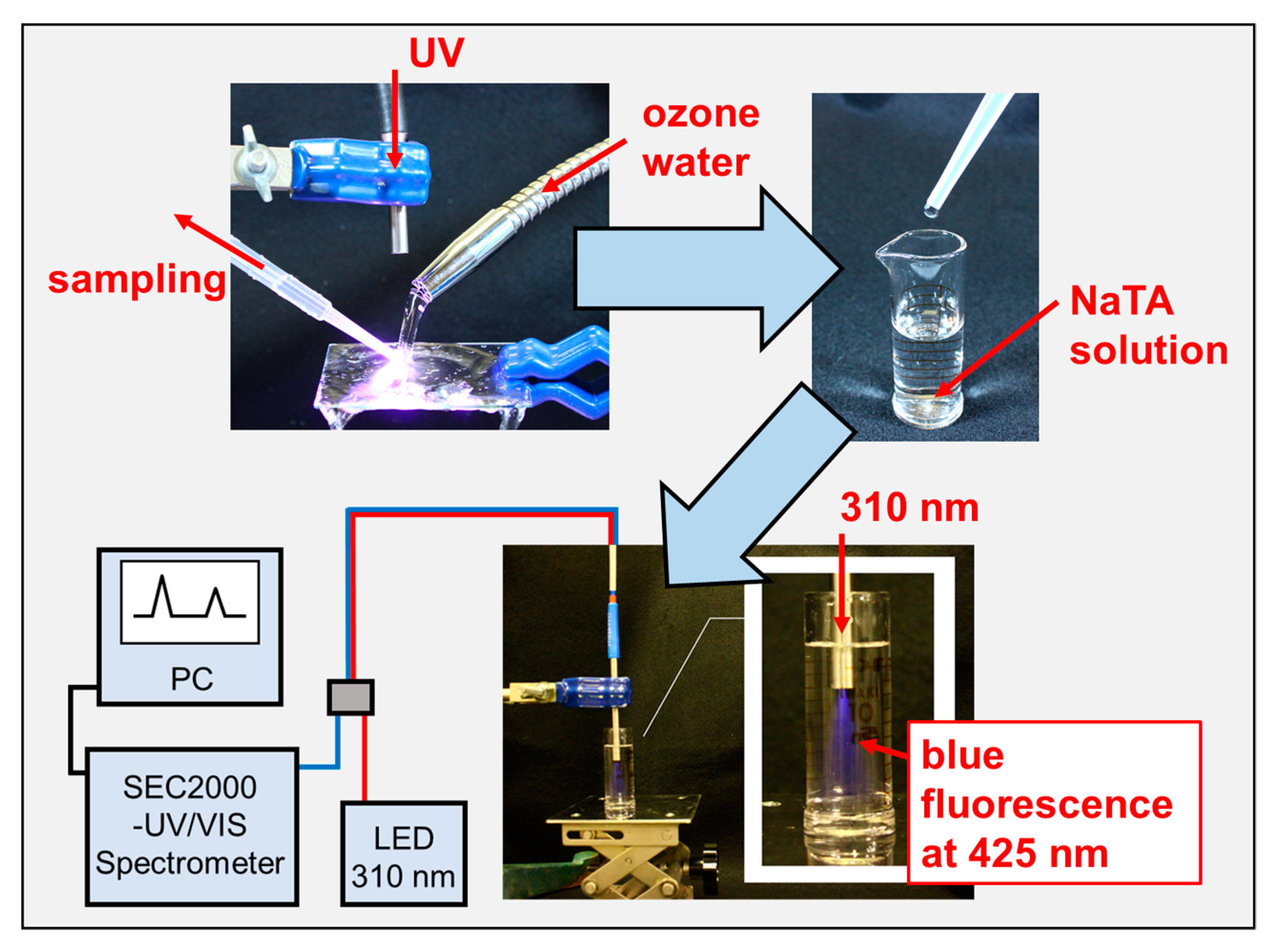Catalysts 10 01265 g015