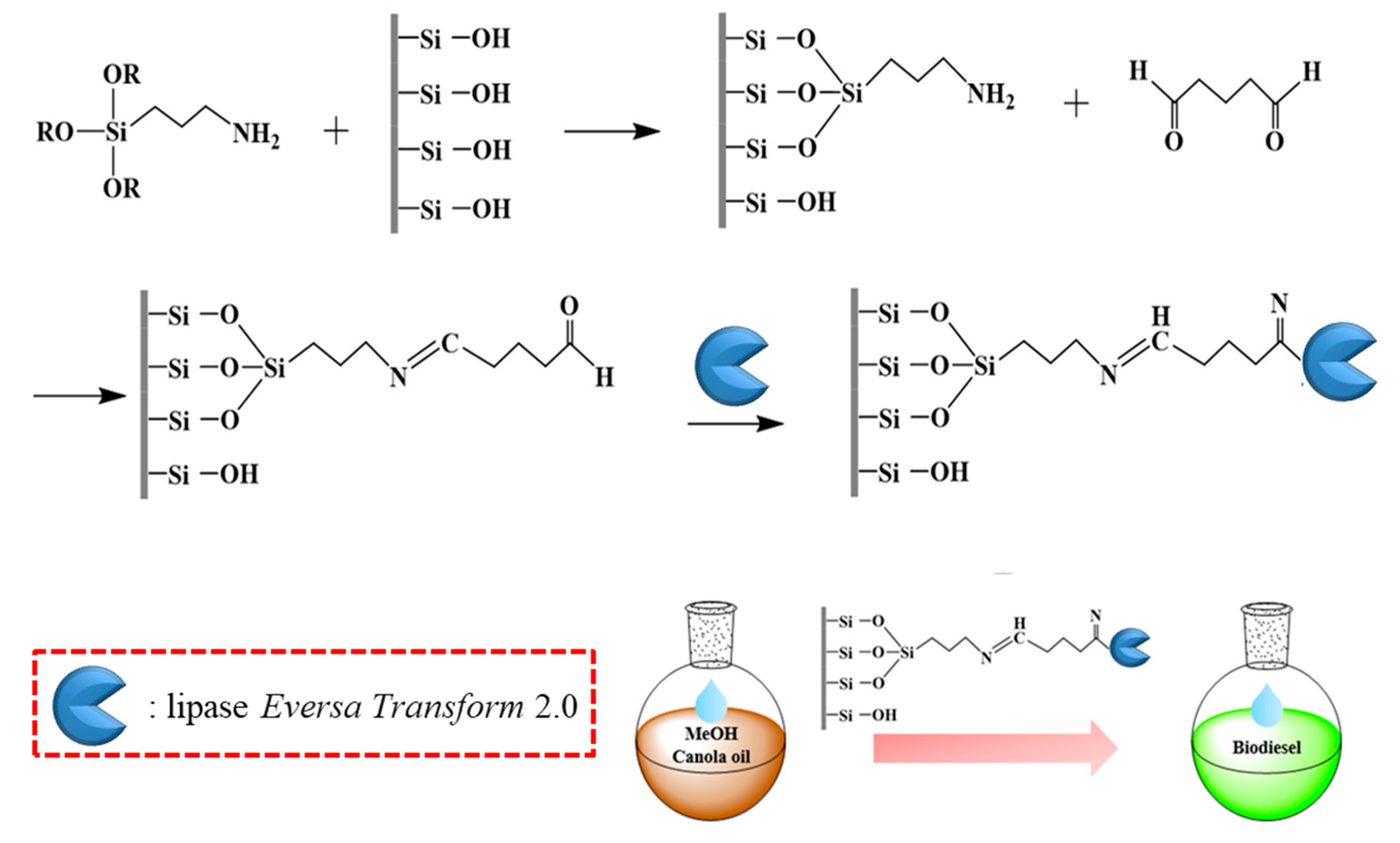 Catalysts 10 01266 sch001 Catalysts 10 01266 sch001