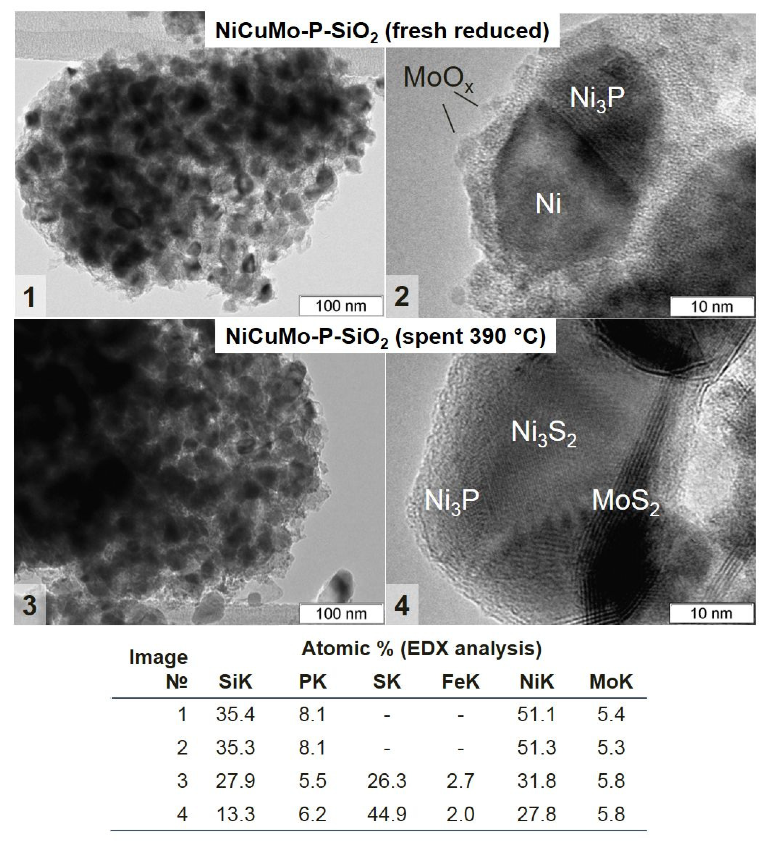 Catalysts 10 01273 g009 Catalysts 10 01273 g009