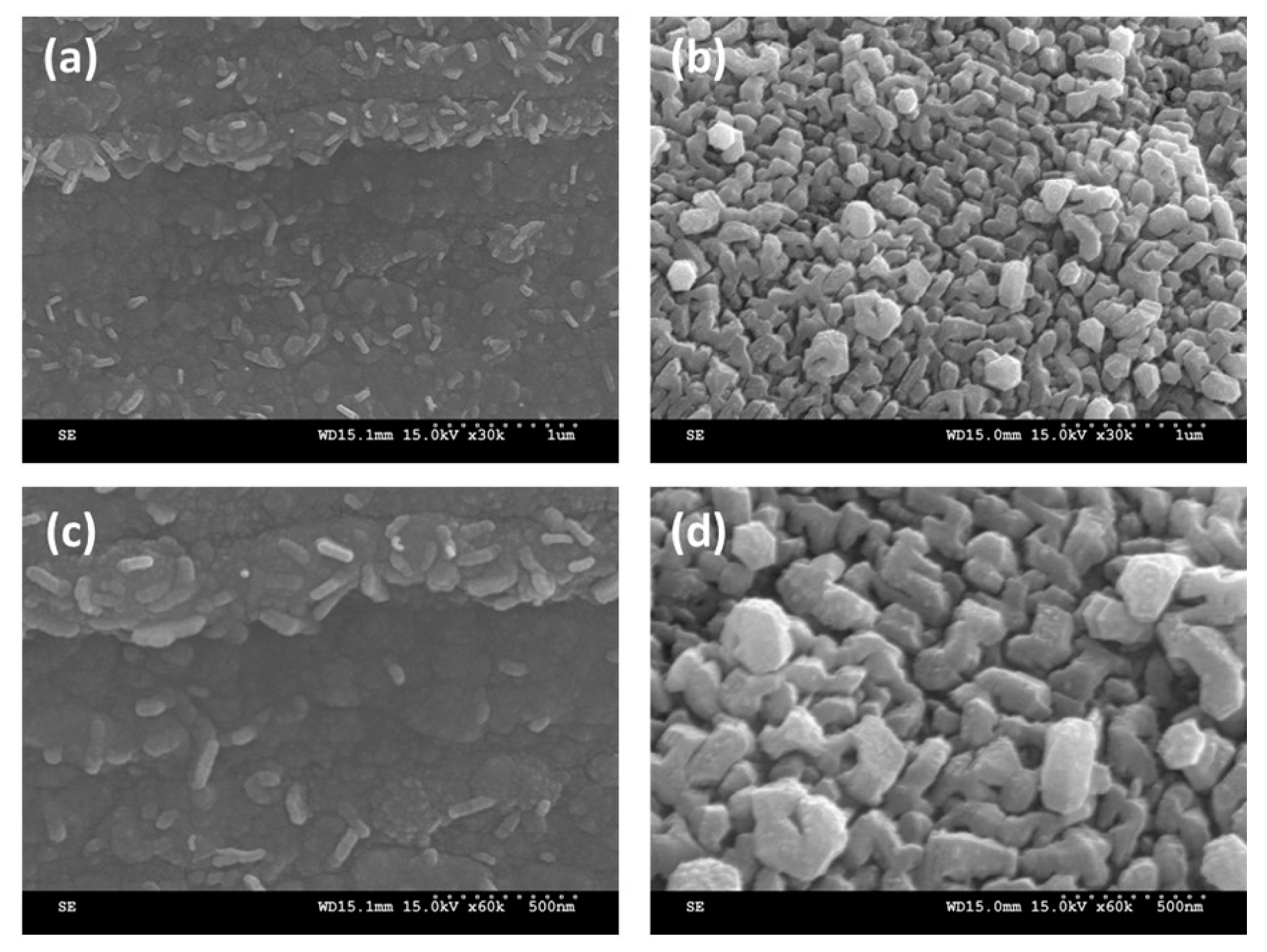 Catalysts 10 01274 g002