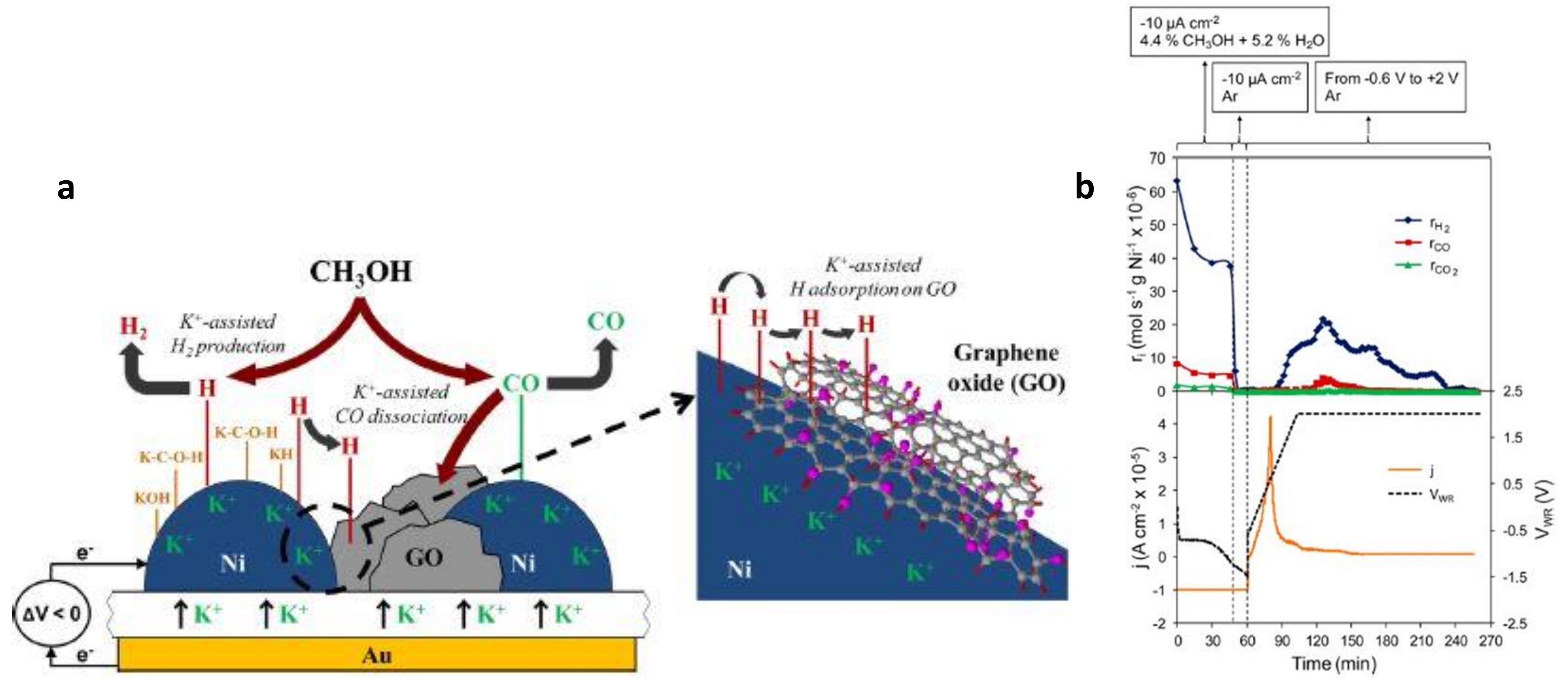 Catalysts 10 01276 g006 Catalysts 10 01276 g006