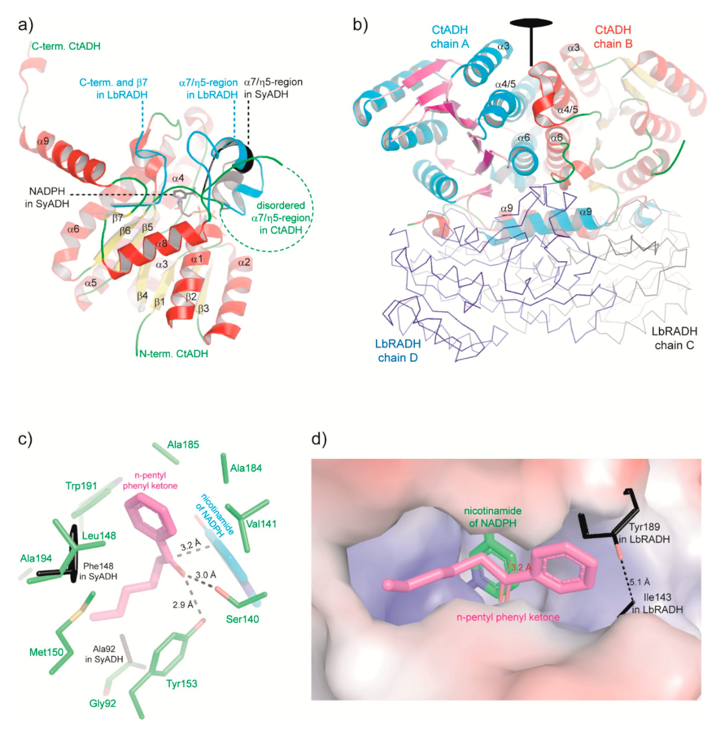 Catalysts 10 01281 g003