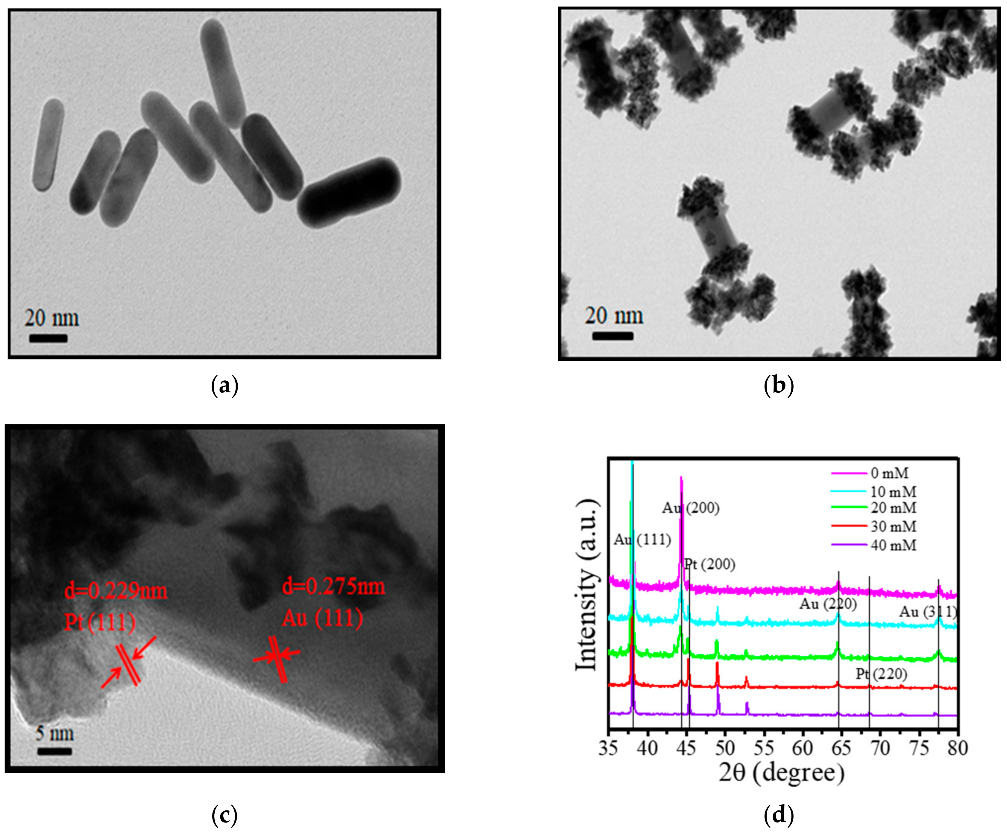 Catalysts 10 01285 g001