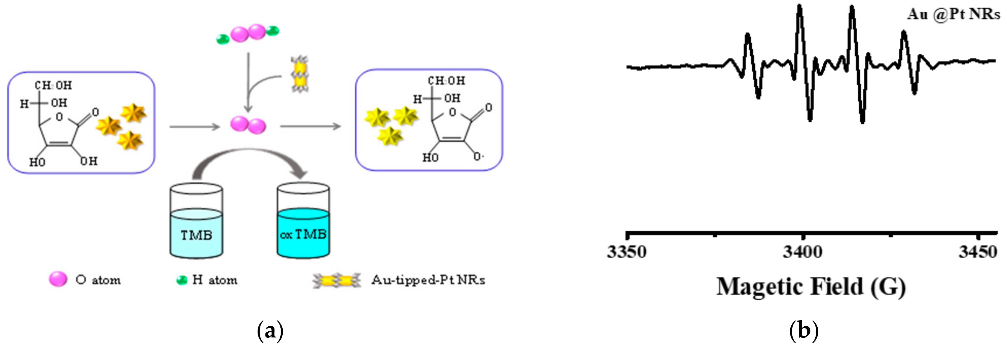 Catalysts 10 01285 g006