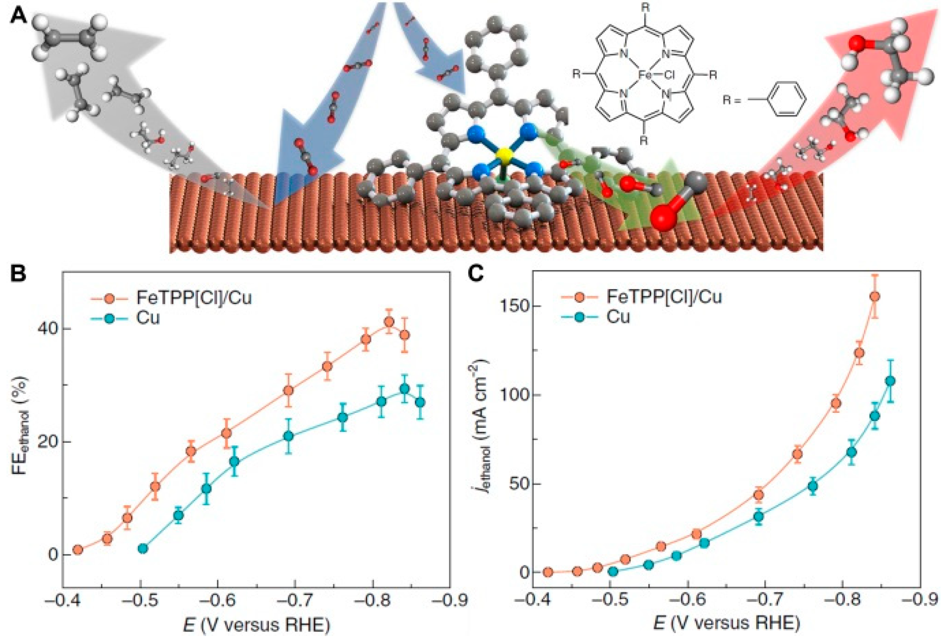 Catalysts 10 01287 g005 Catalysts 10 01287 g005
