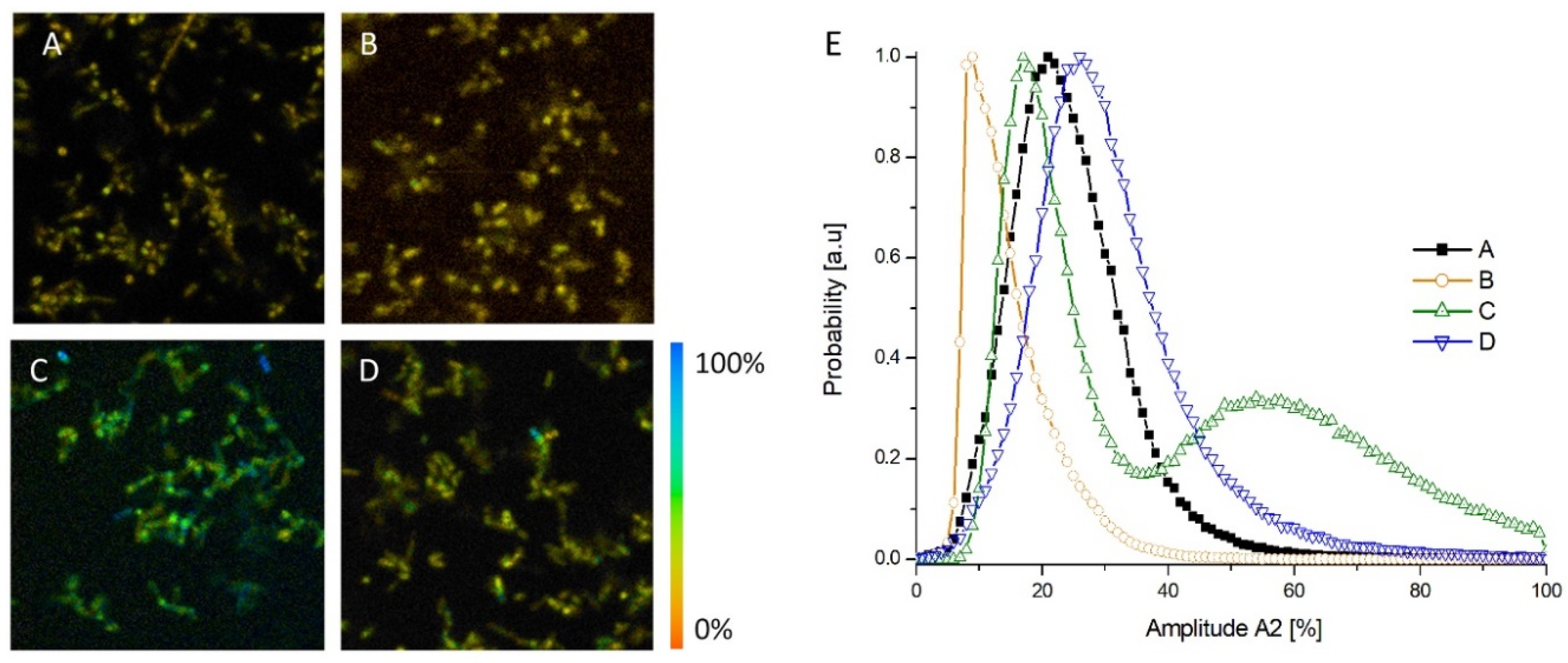 Catalysts 10 01288 g004 Catalysts 10 01288 g004