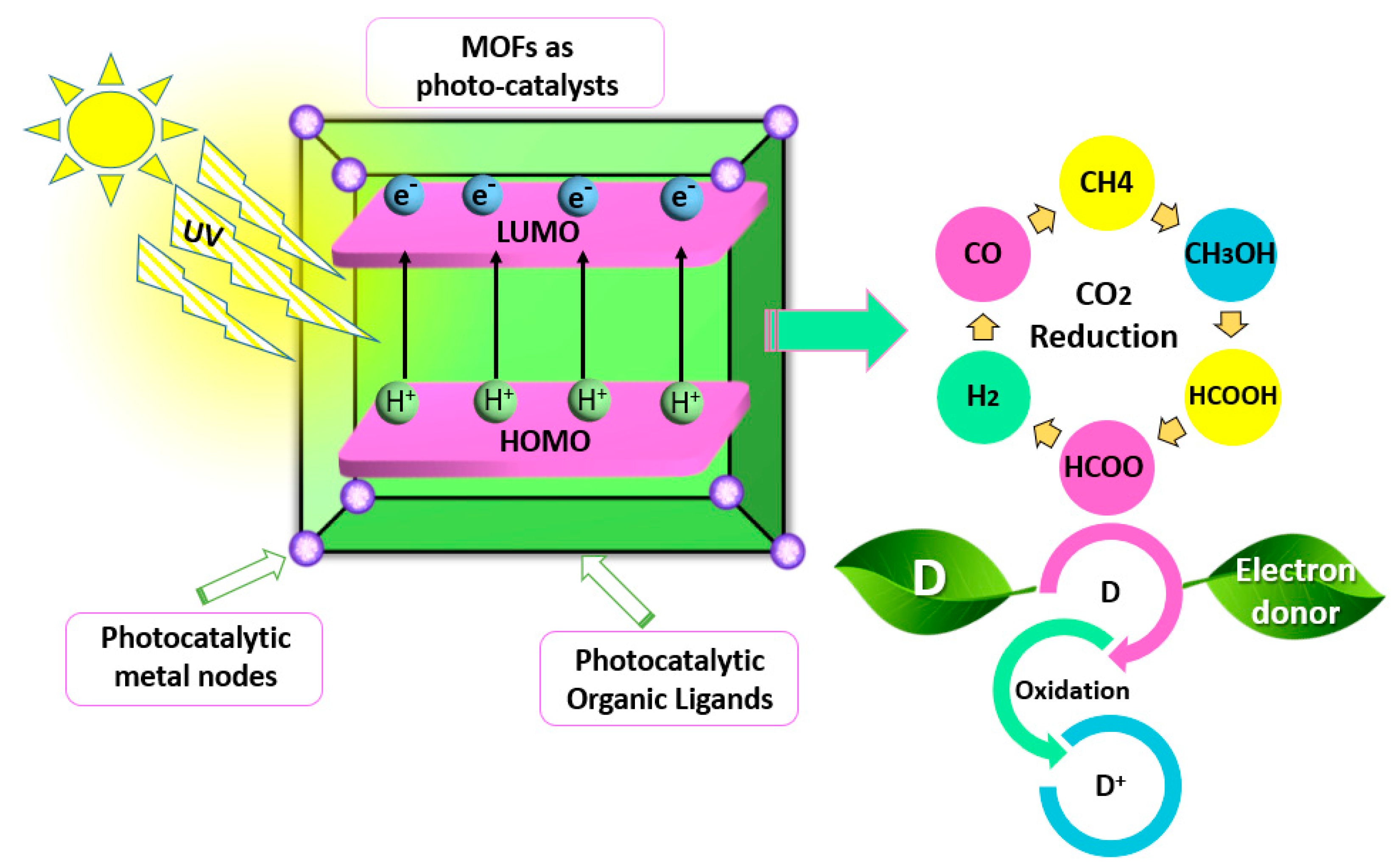 Catalysts 10 01293 g007
