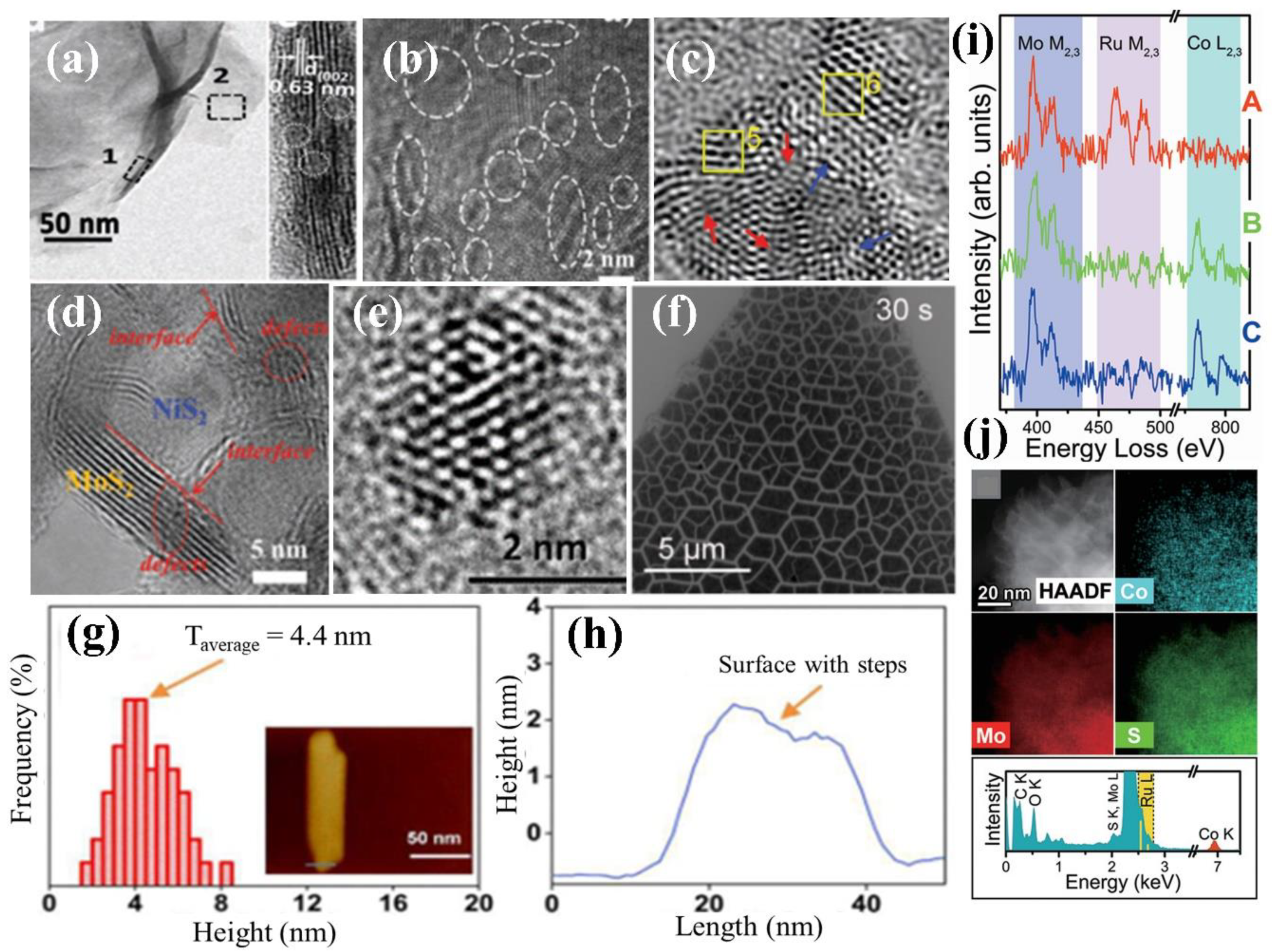 Catalysts 10 01301 g005 Catalysts 10 01301 g005