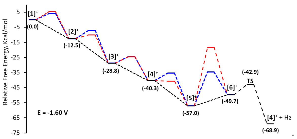 Catalysts 10 01302 g007