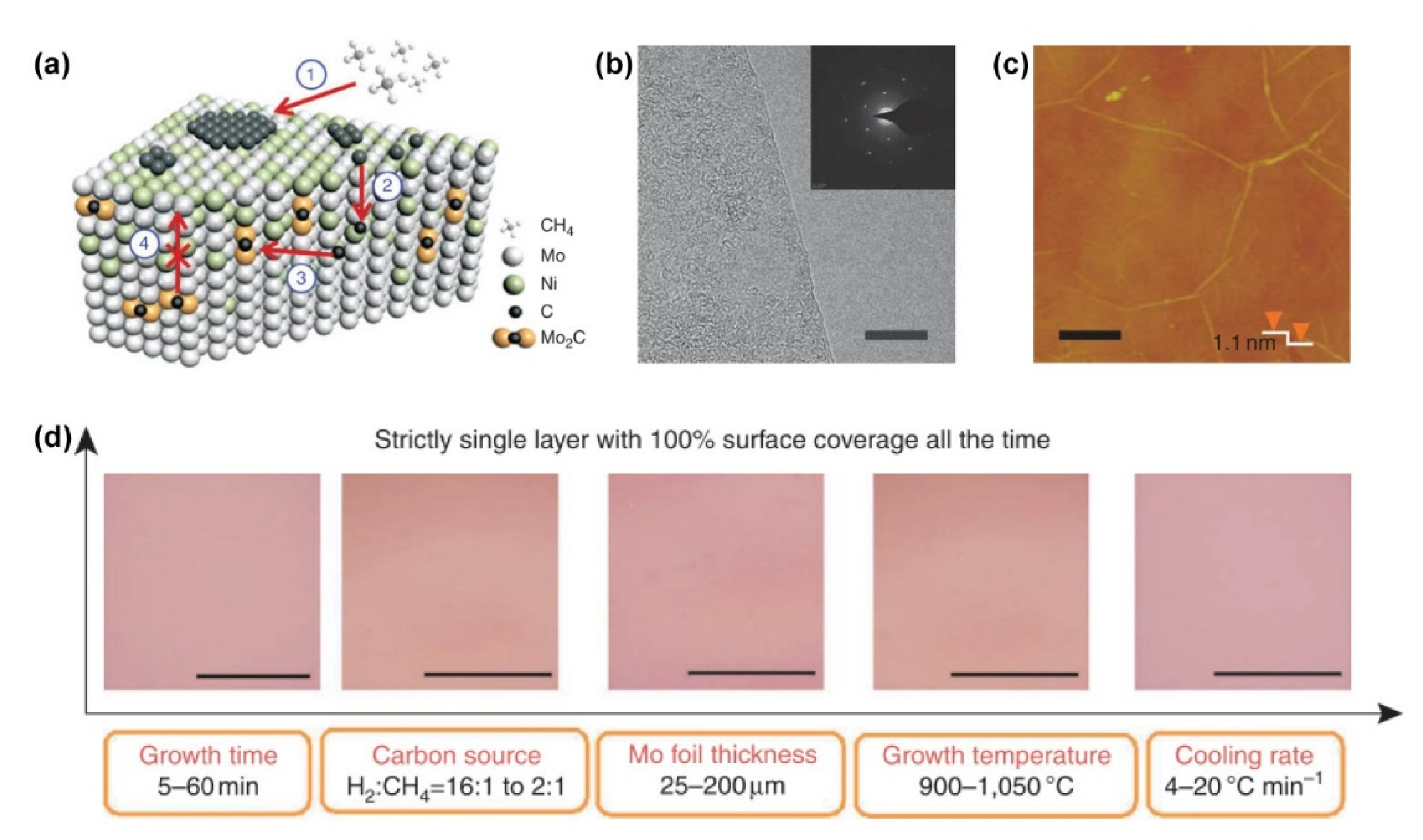 Catalysts 10 01305 g006 Catalysts 10 01305 g006