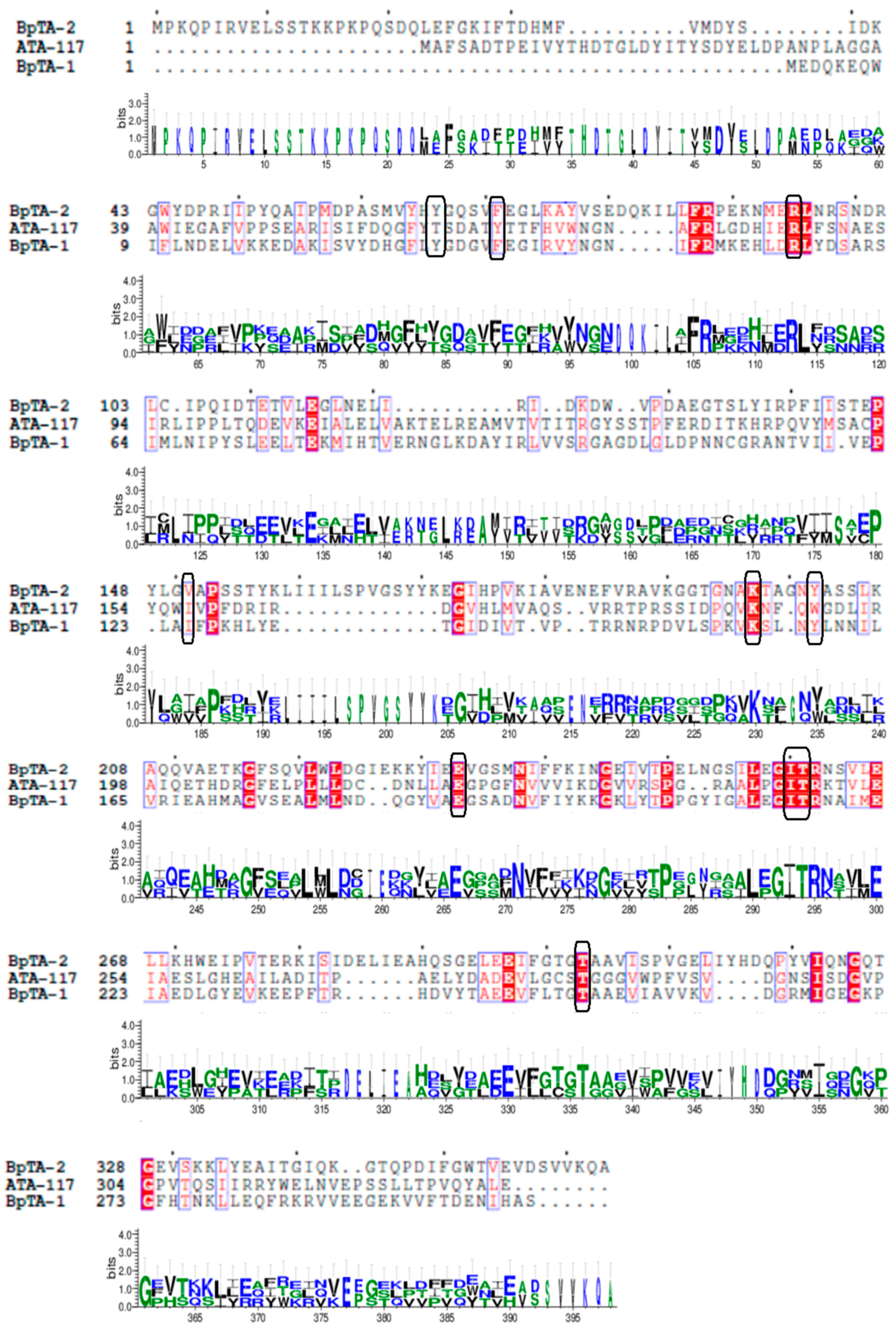 Catalysts 10 01308 g001 Catalysts 10 01308 g001