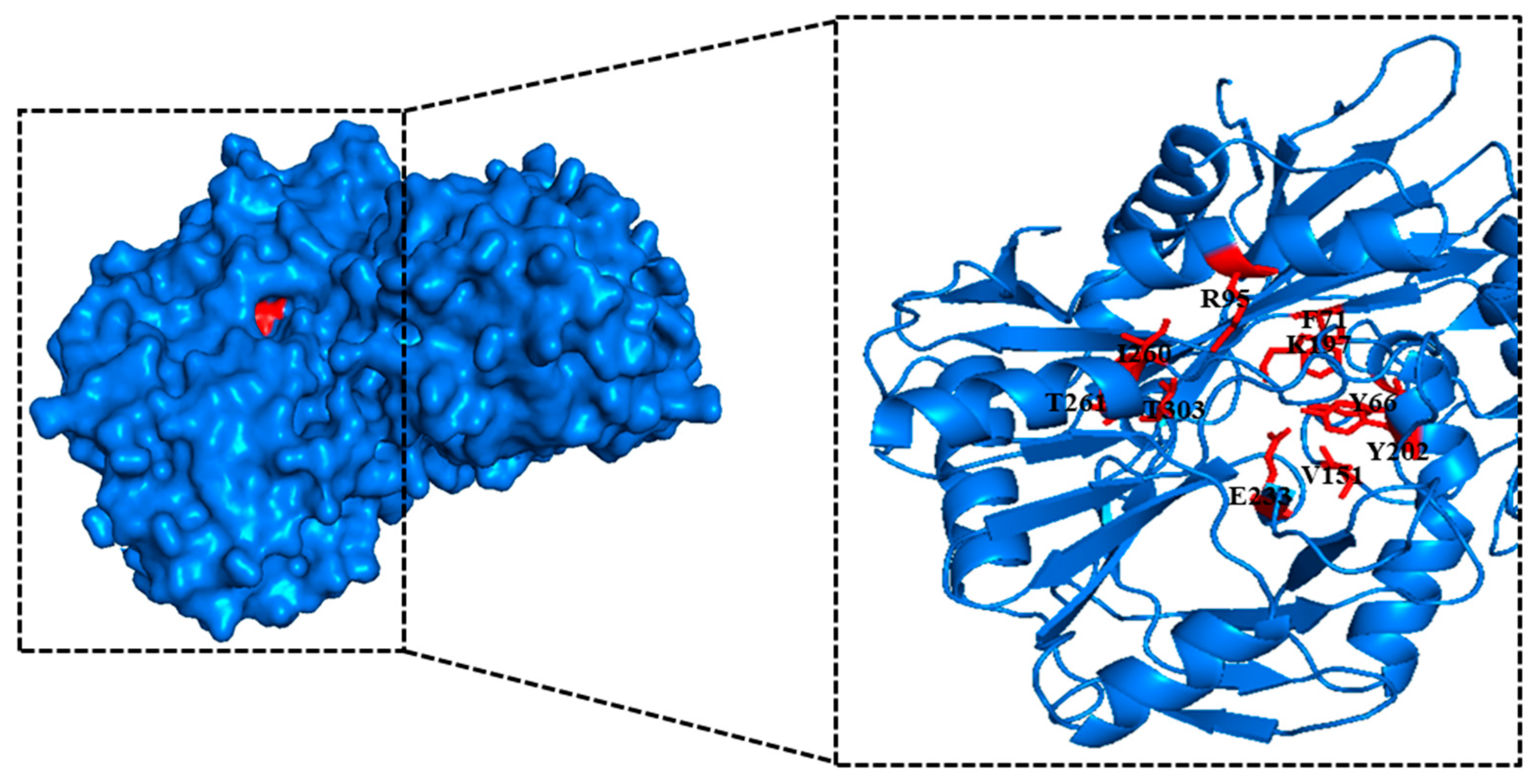 Catalysts 10 01308 g002 Catalysts 10 01308 g002