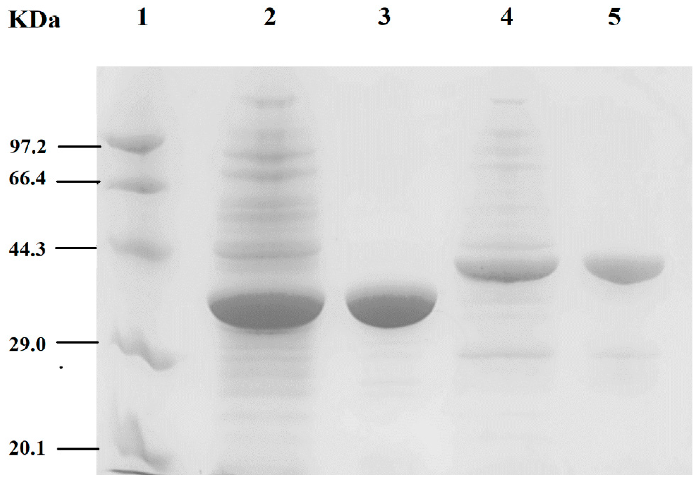 Catalysts 10 01308 g003 Catalysts 10 01308 g003