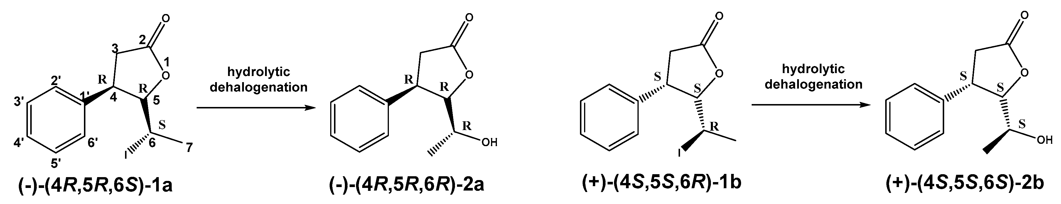 Catalysts 10 01313 g003