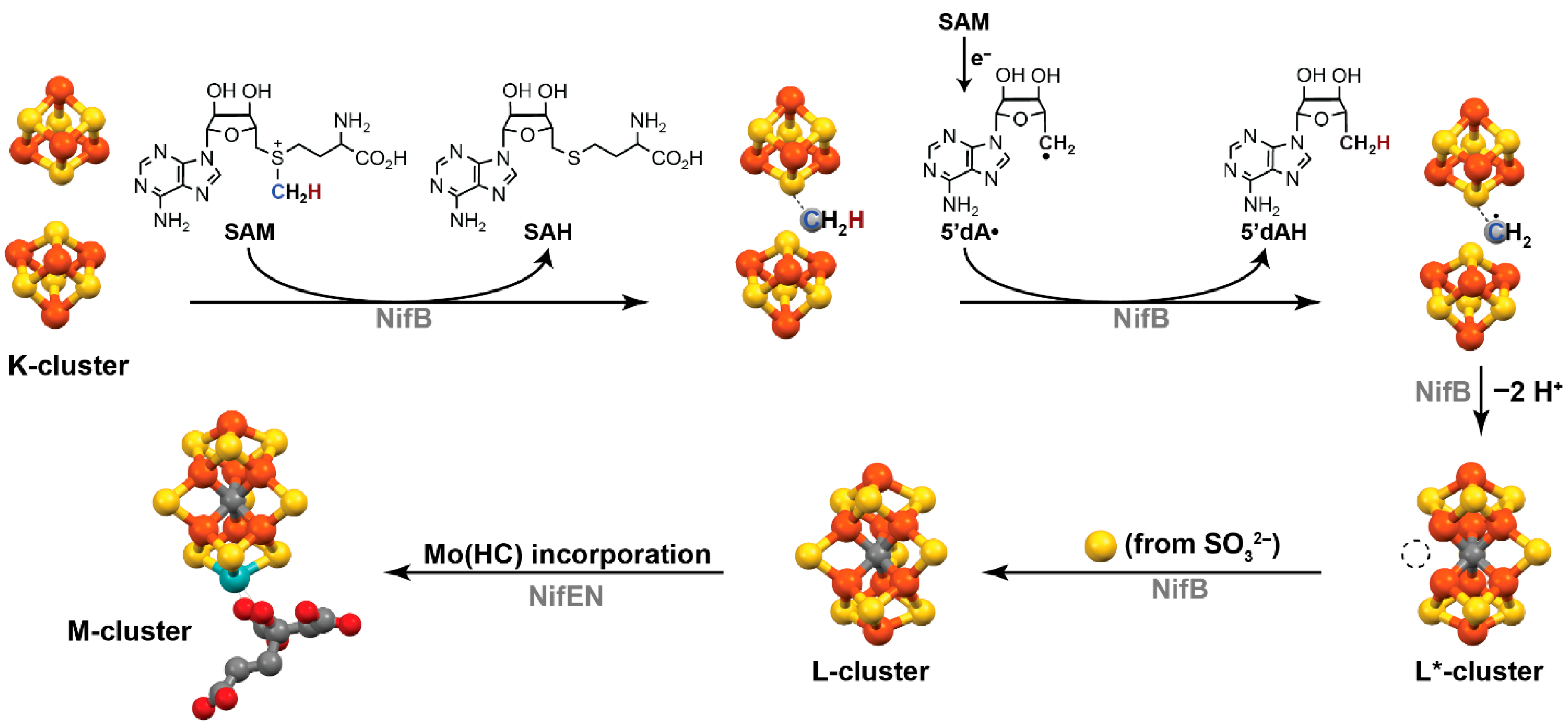 Catalysts 10 01317 g002 Catalysts 10 01317 g002