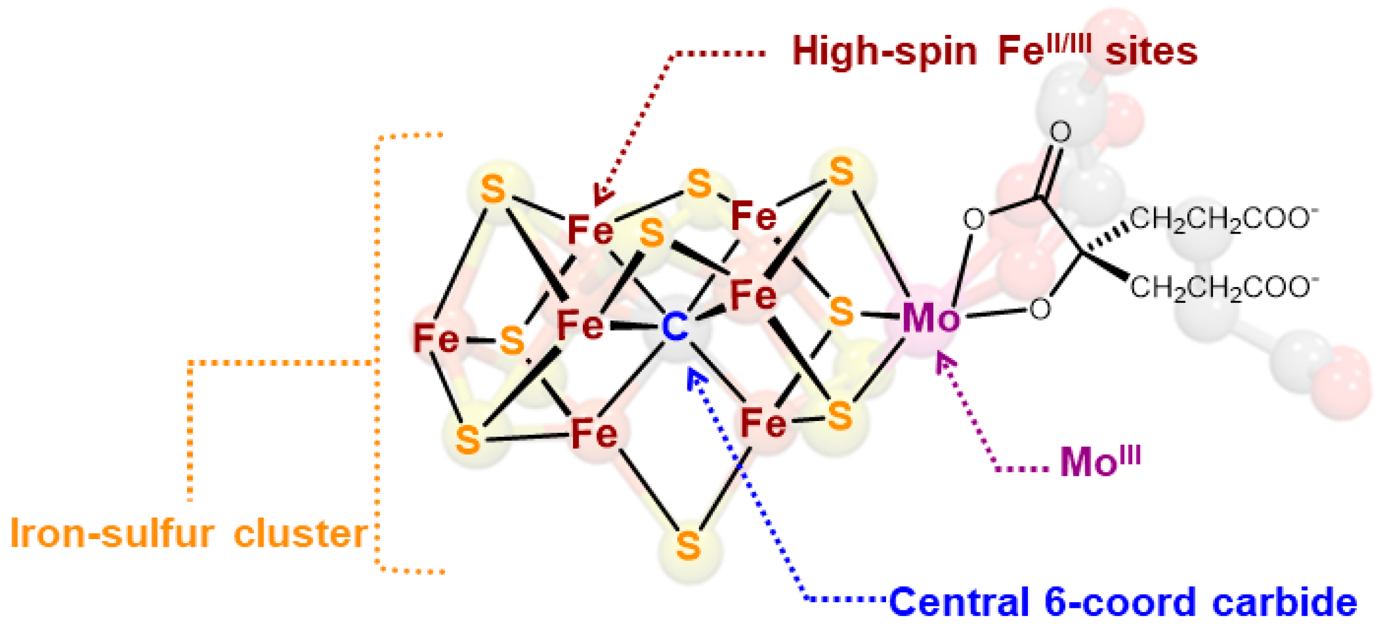 Catalysts 10 01317 g006 Catalysts 10 01317 g006