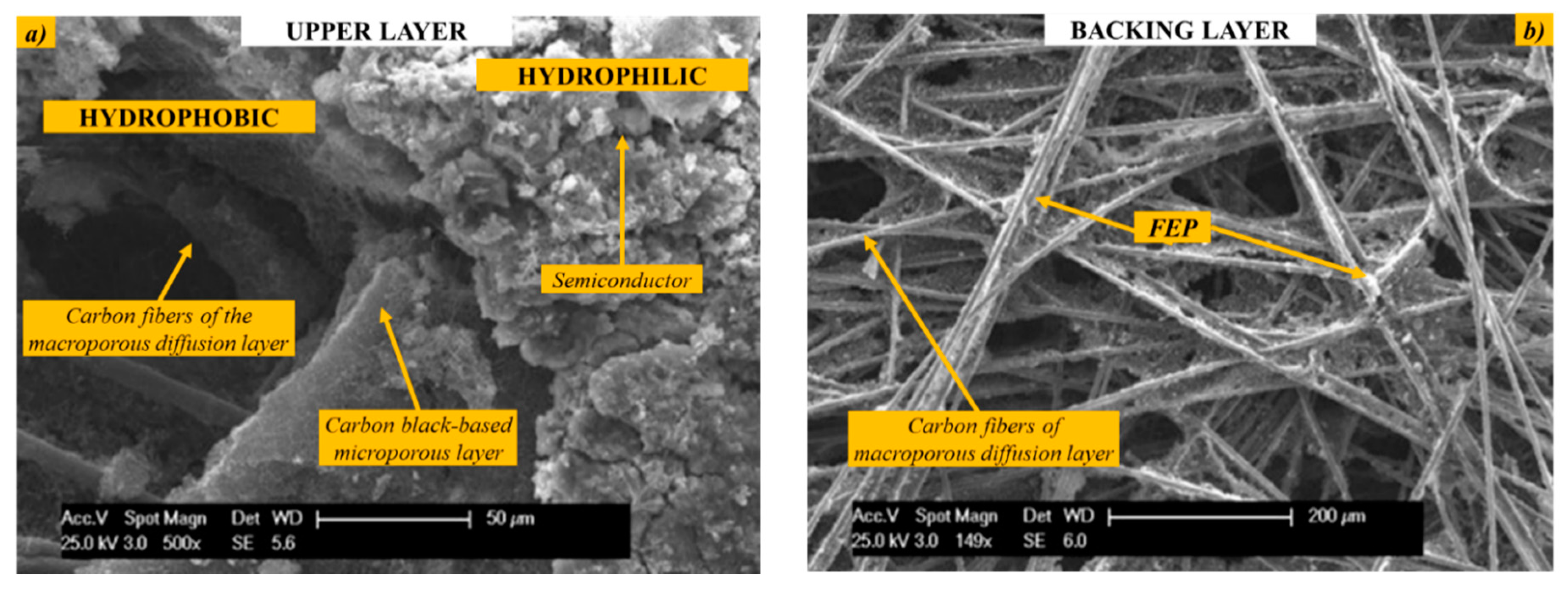 Catalysts 10 01319 g005