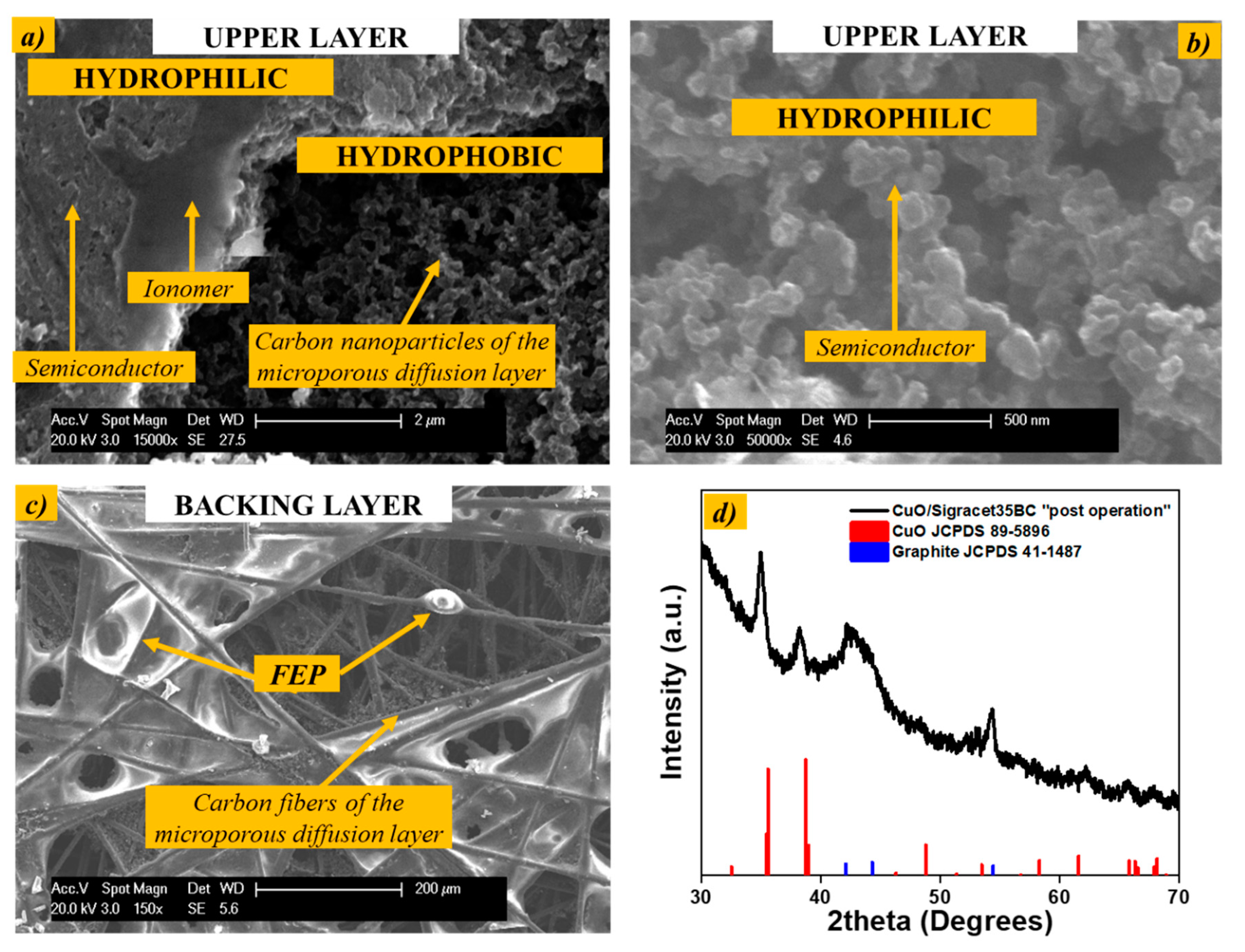 Catalysts 10 01319 g010