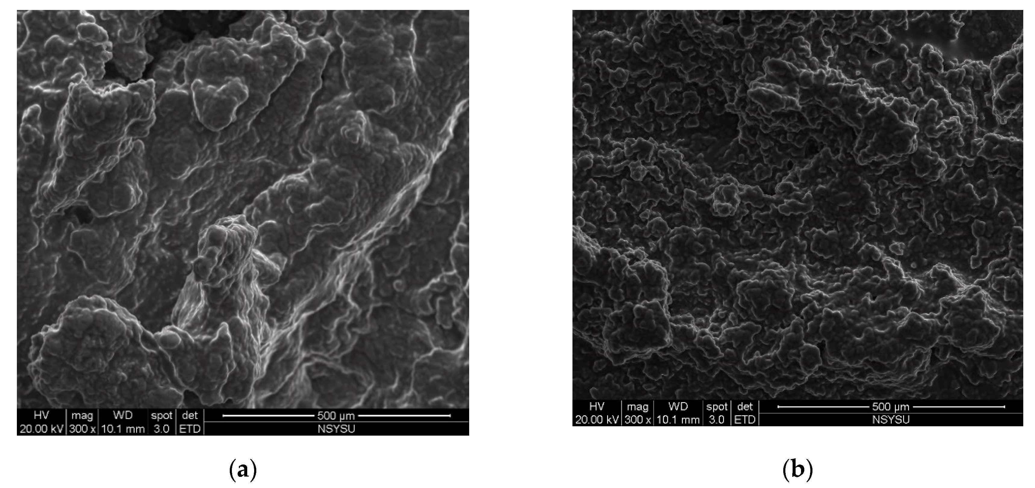 Catalysts 10 01323 g004