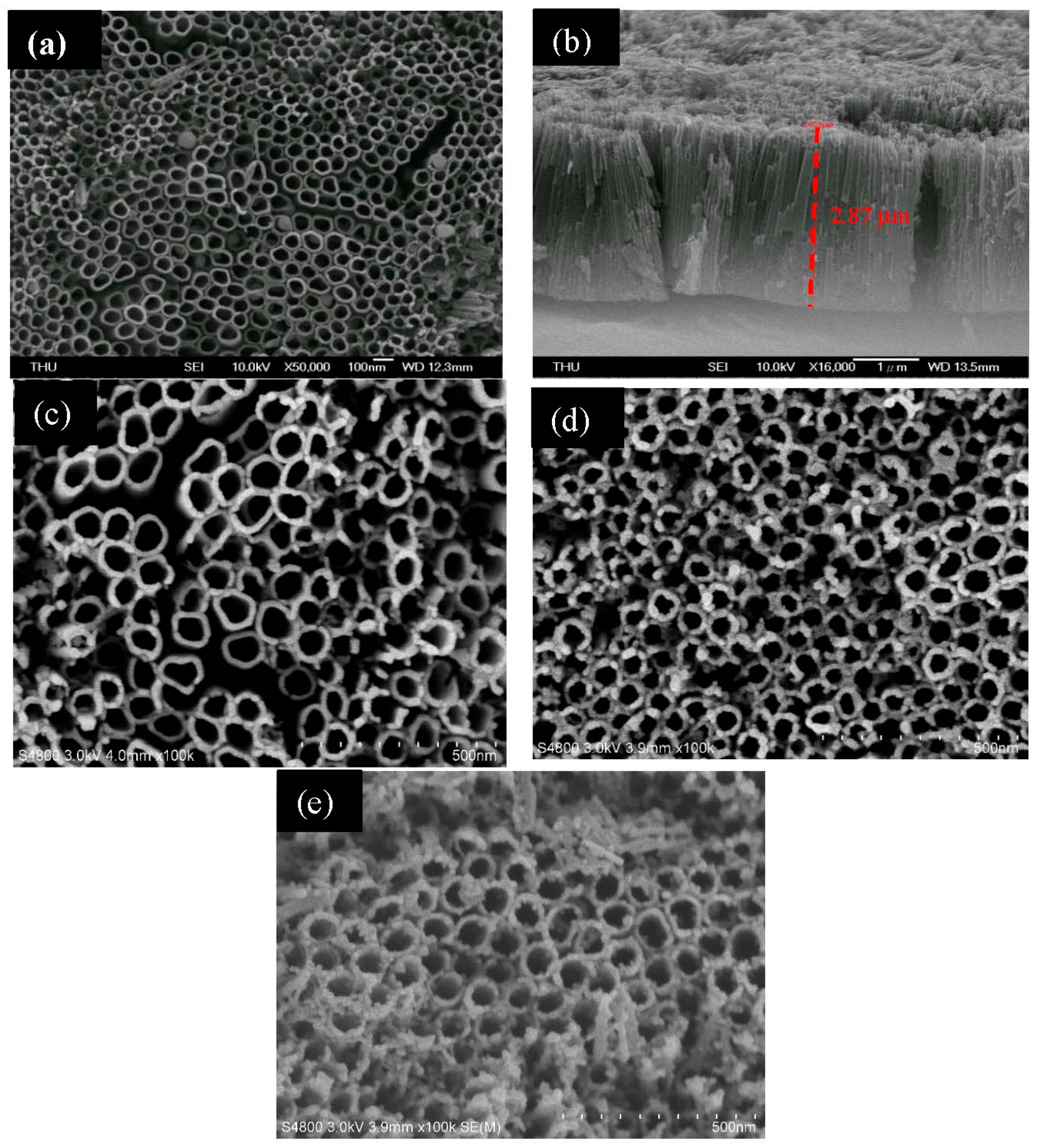 Catalysts 10 01330 g001 Catalysts 10 01330 g001