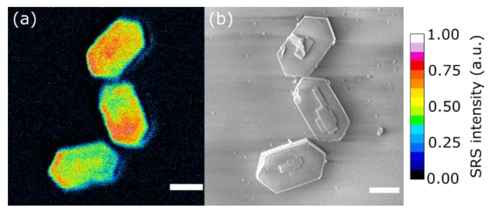Catalysts 10 01331 g002 Catalysts 10 01331 g002