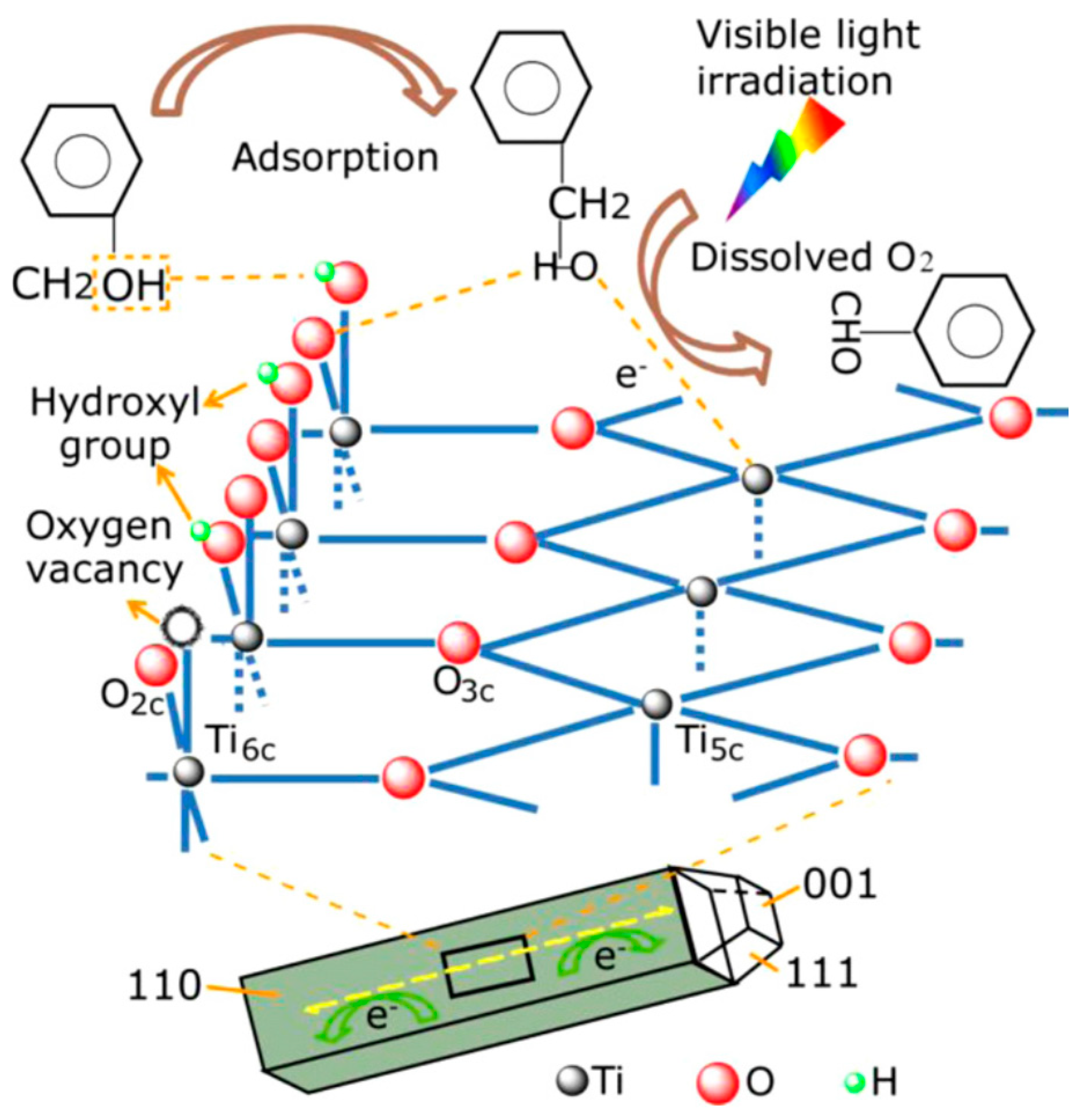 Catalysts 10 01334 g002