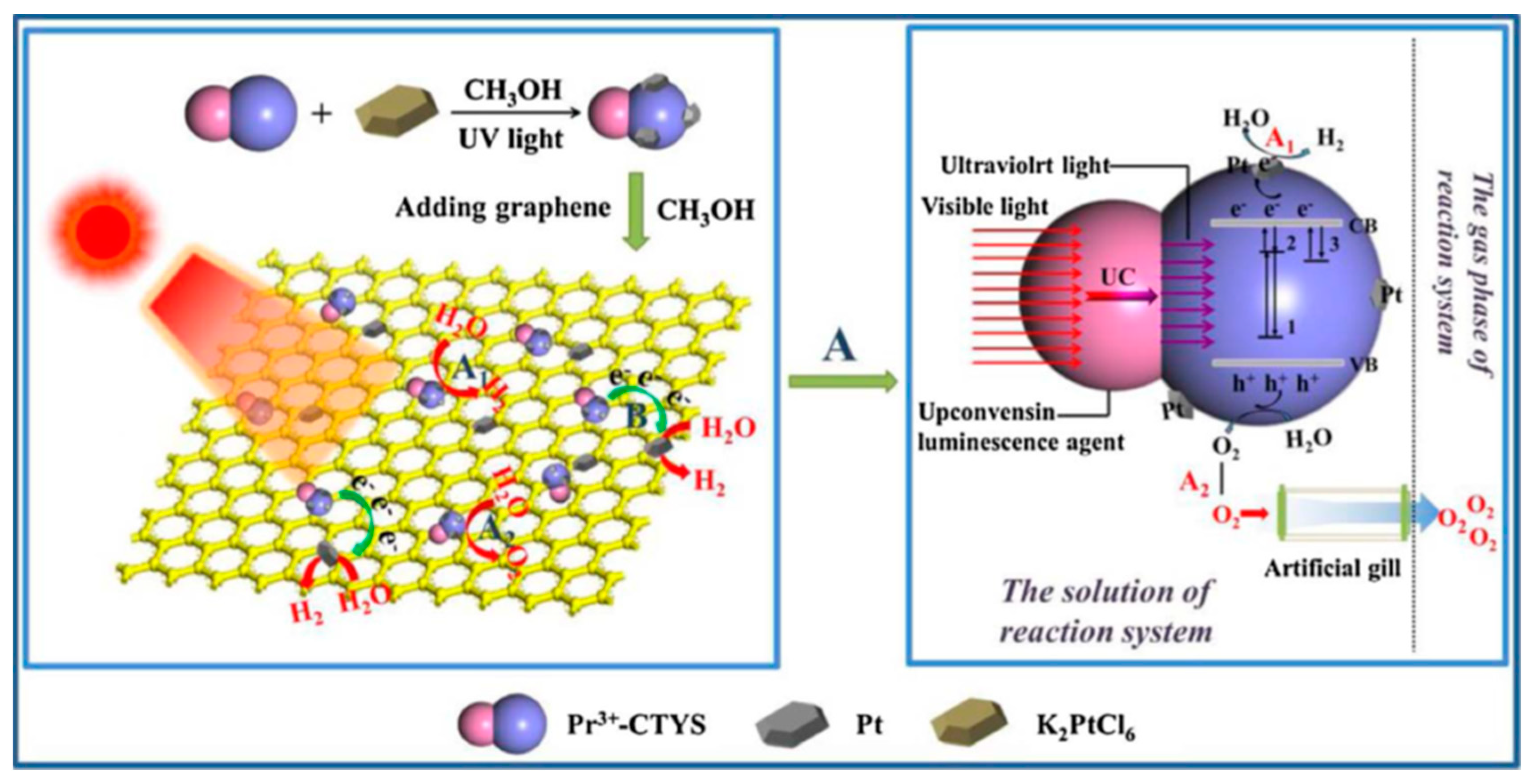 Catalysts 10 01334 g004