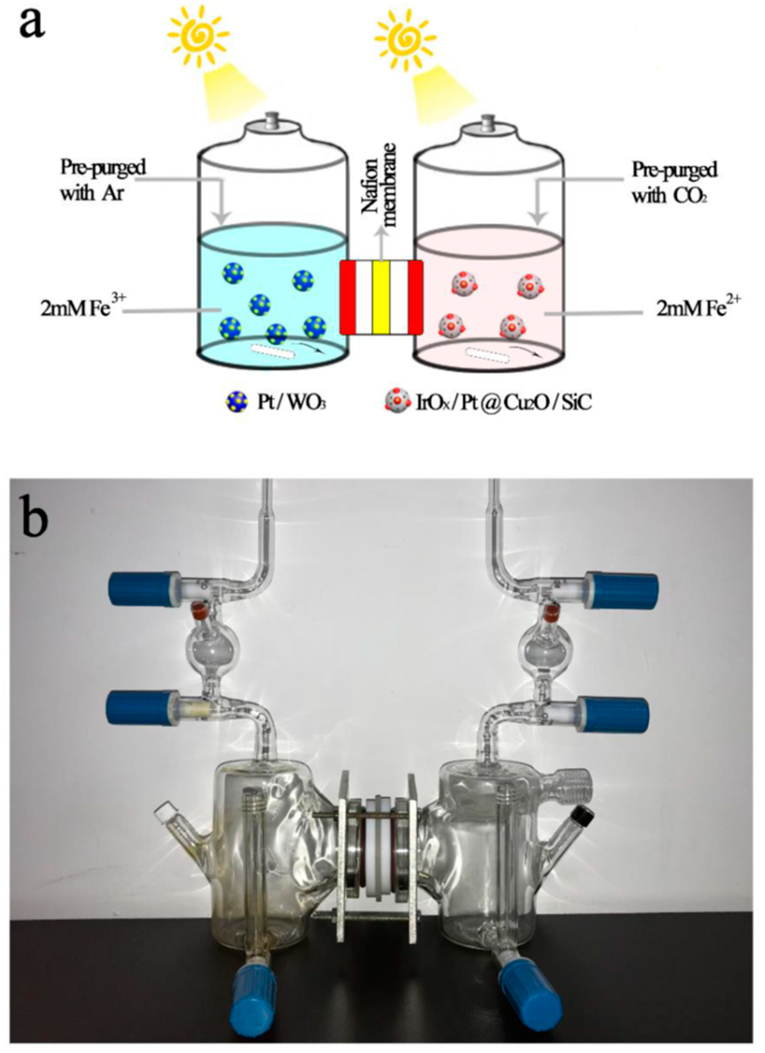 Catalysts 10 01334 g007