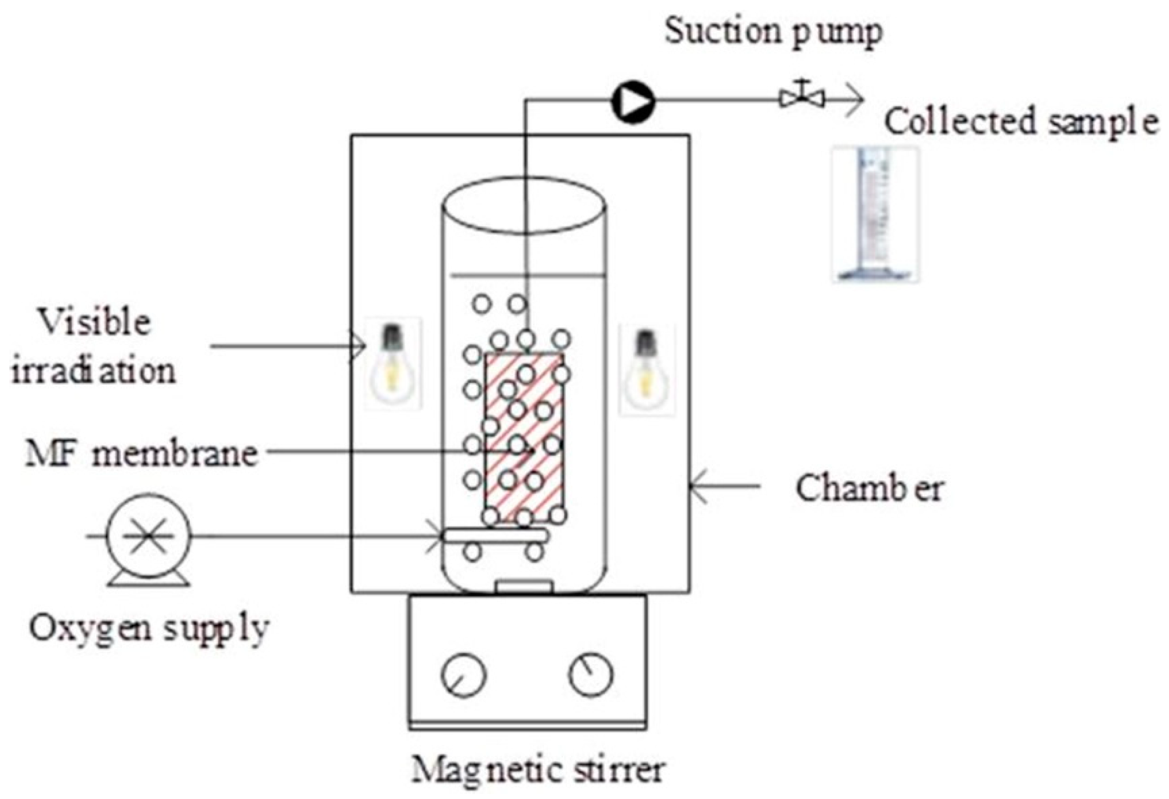 Catalysts 10 01334 g008