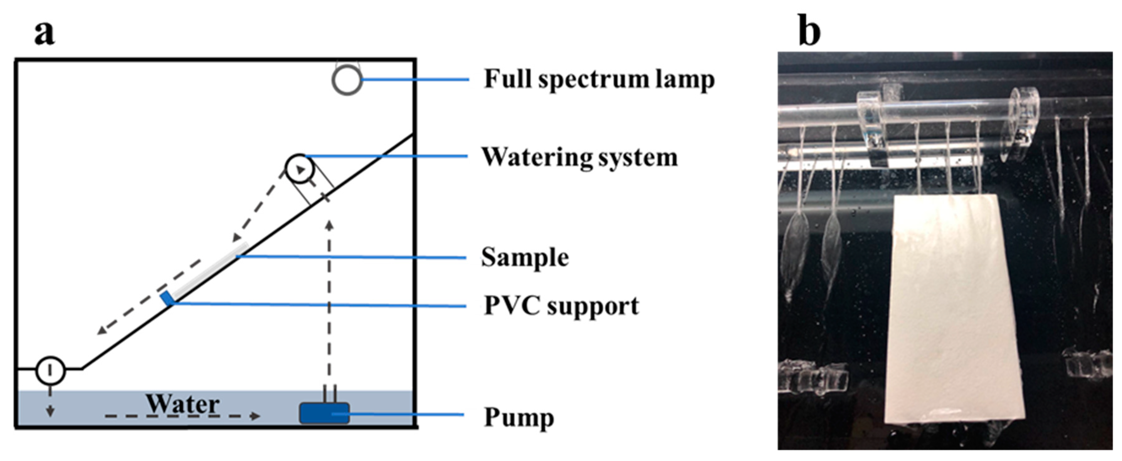 Catalysts 10 01336 g011 Catalysts 10 01336 g011