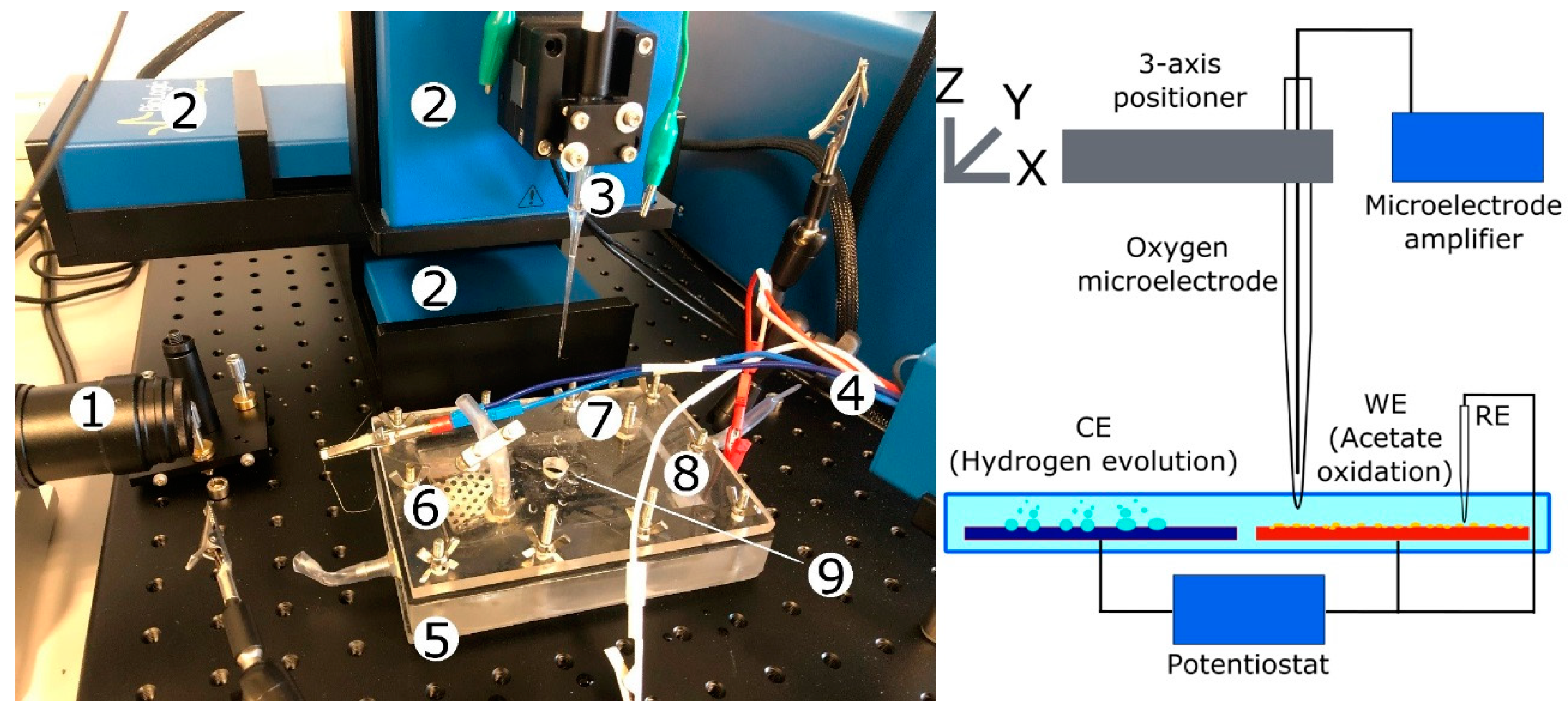 Catalysts 10 01341 g005