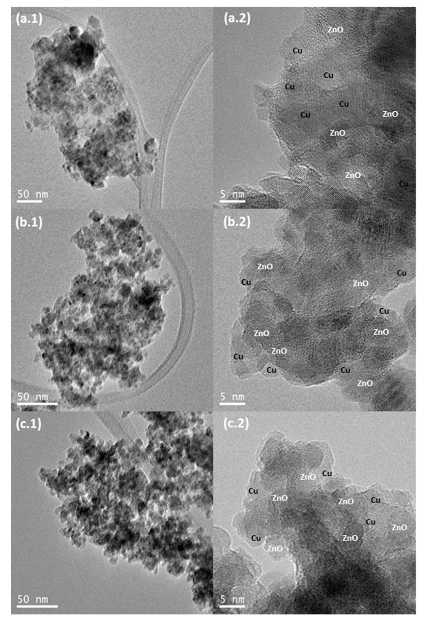 Catalysts 10 01346 g007