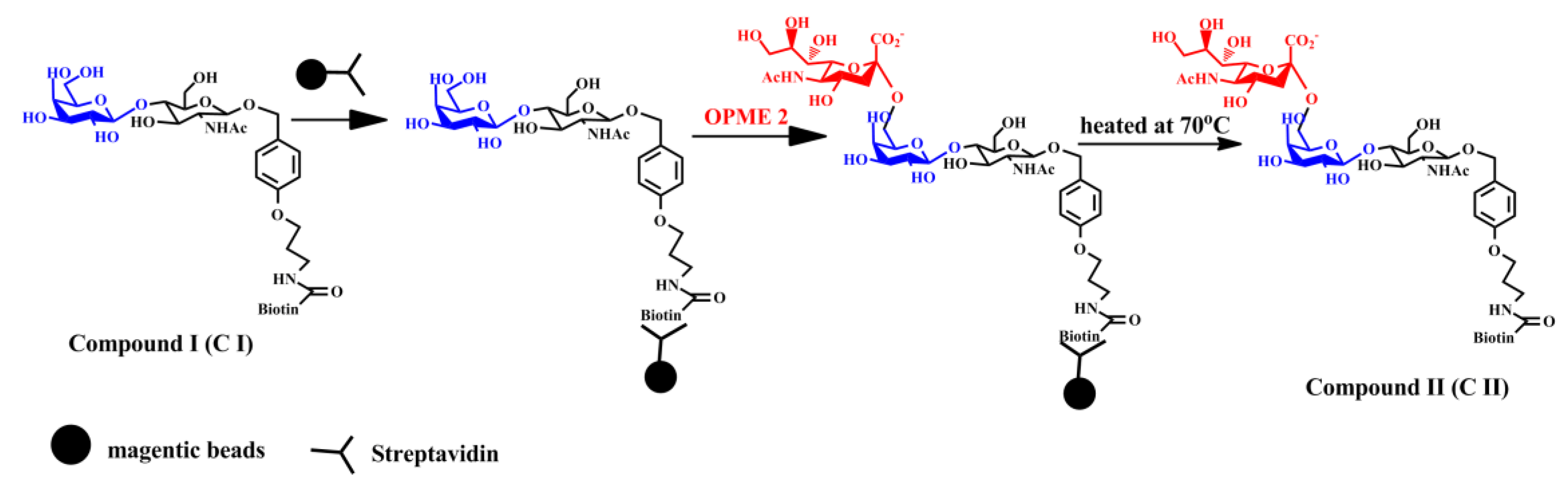 Catalysts 10 01347 sch004 Catalysts 10 01347 sch004