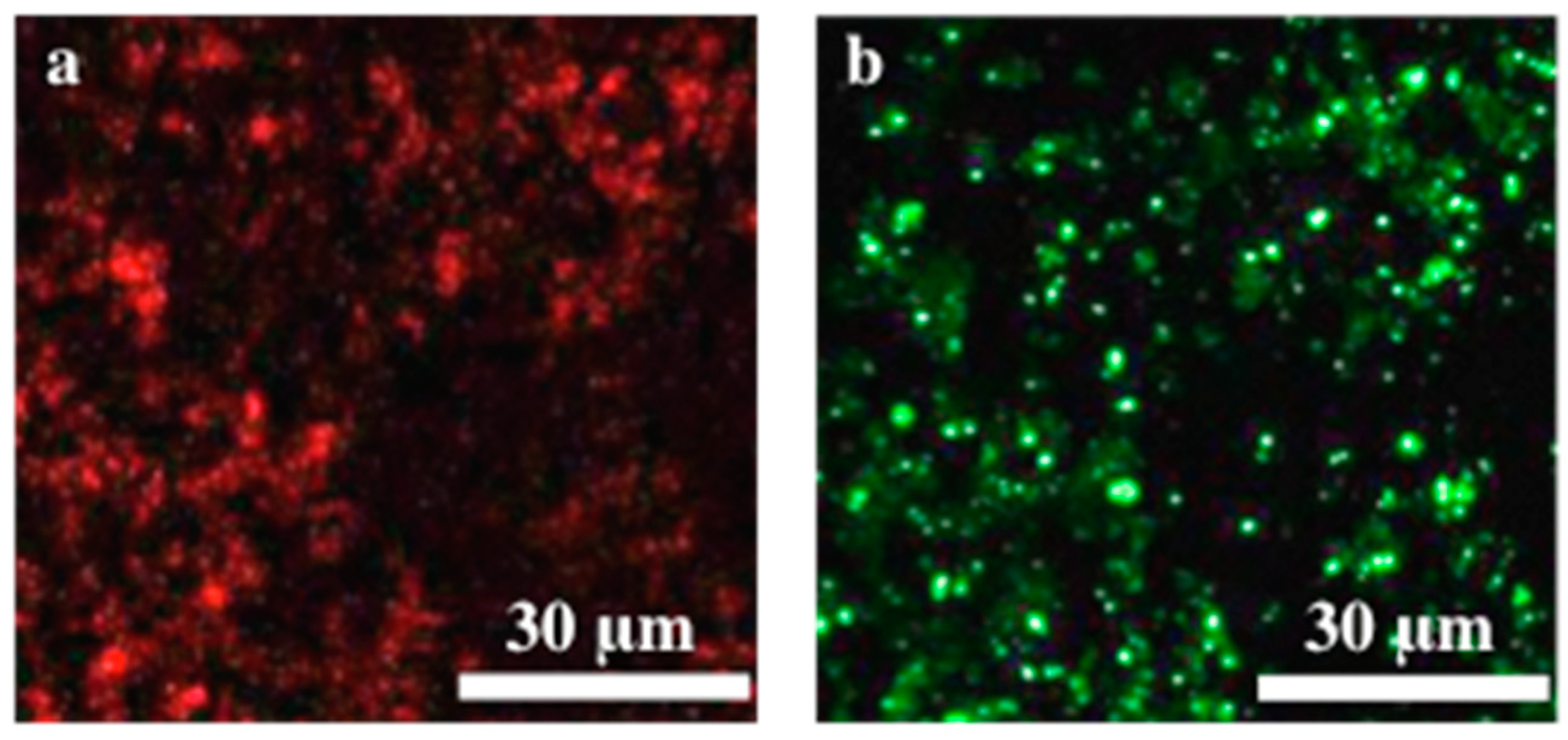 Catalysts 10 01352 g006a Catalysts 10 01352 g006a