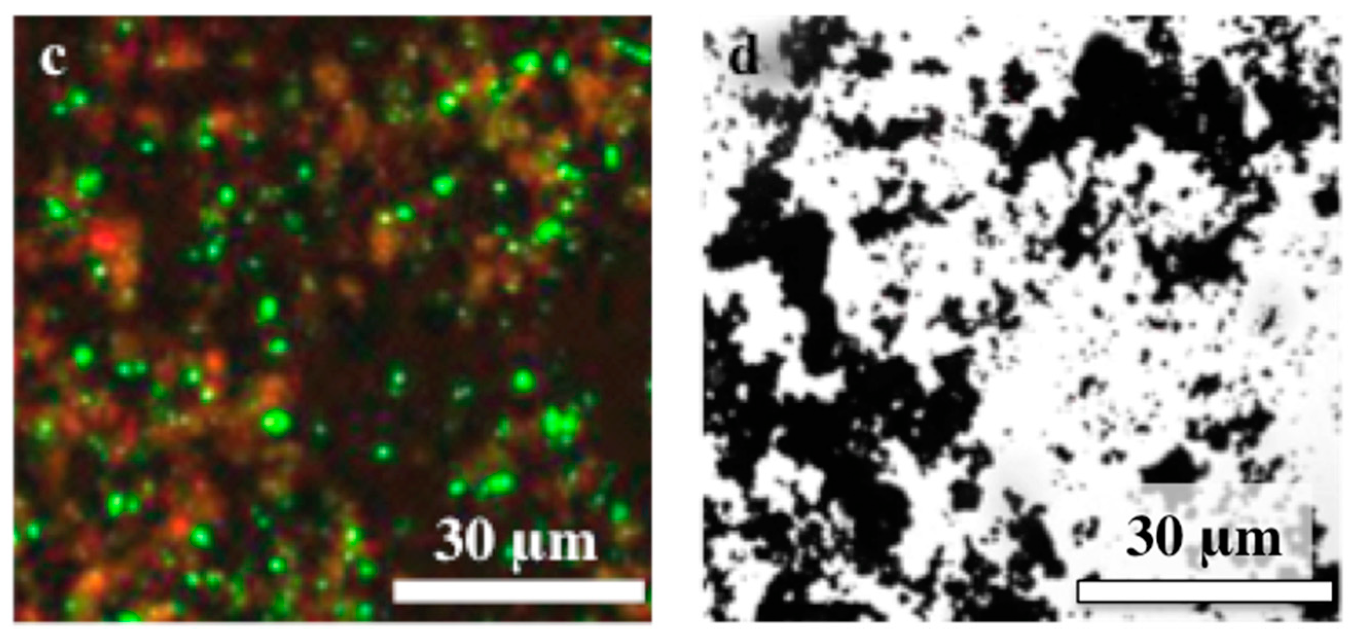 Catalysts 10 01352 g006b Catalysts 10 01352 g006b