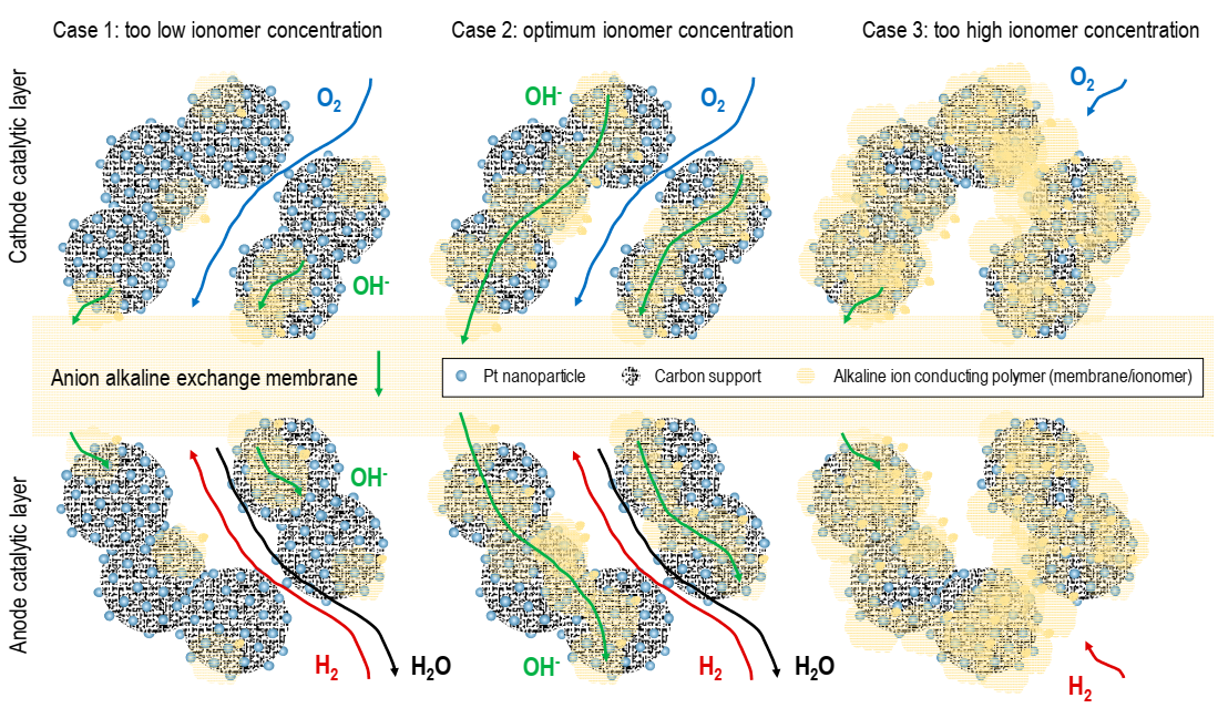 Catalysts 10 01353 g005