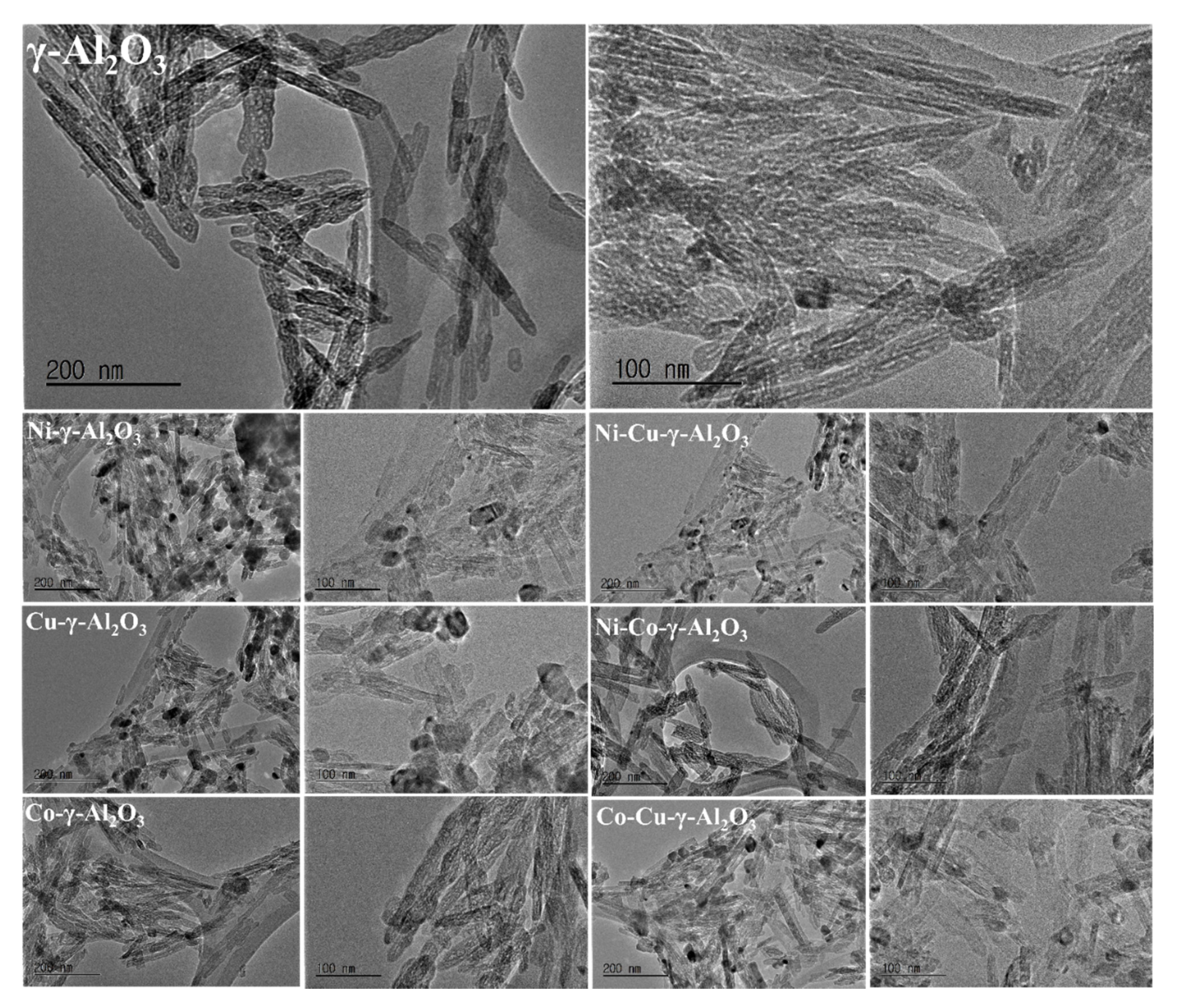 Catalysts 10 01354 g005 Catalysts 10 01354 g005