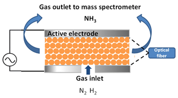 Catalysts 10 01358 i013 Catalysts 10 01358 i013