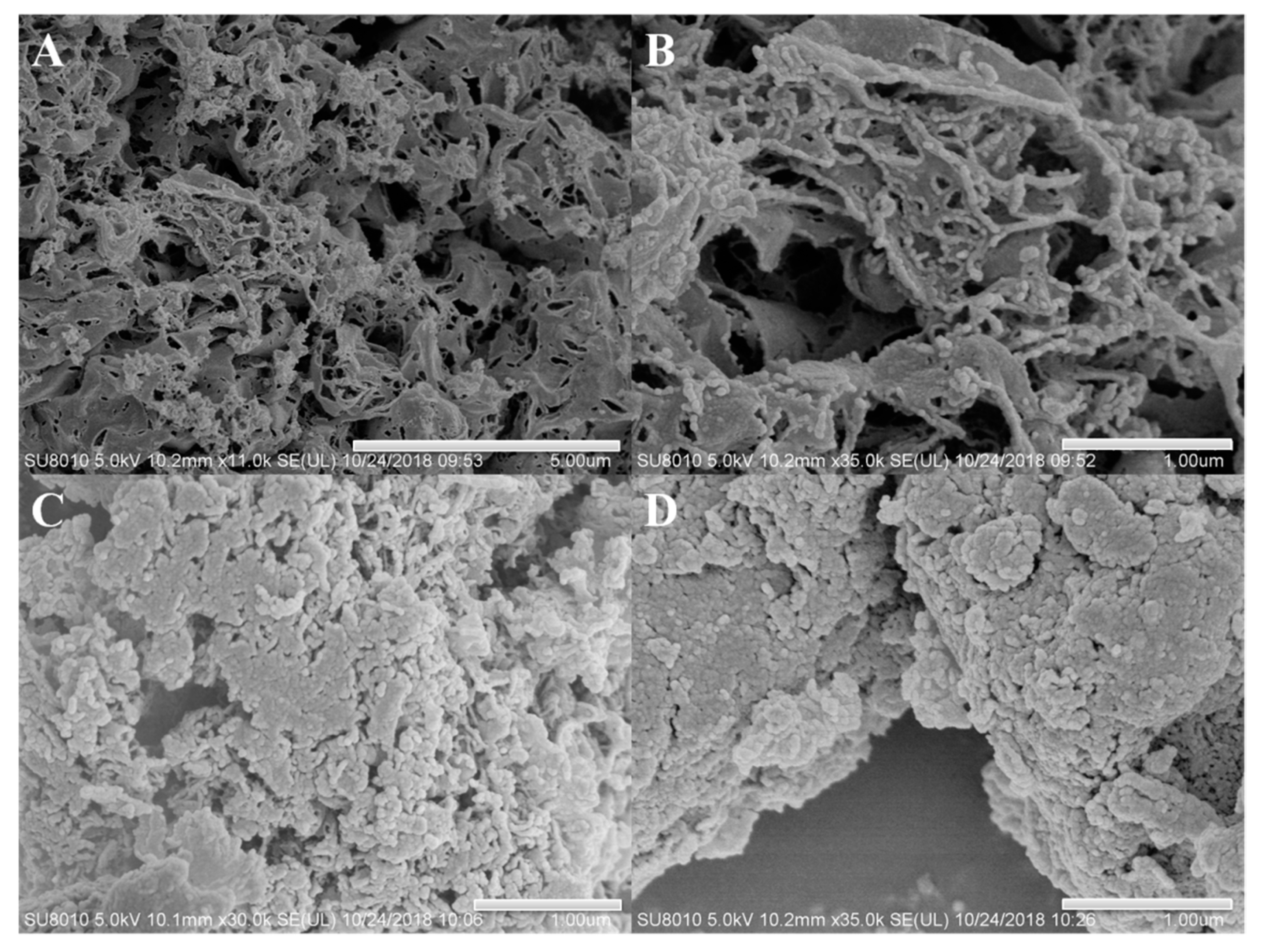 Catalysts 10 01359 g003 Catalysts 10 01359 g003