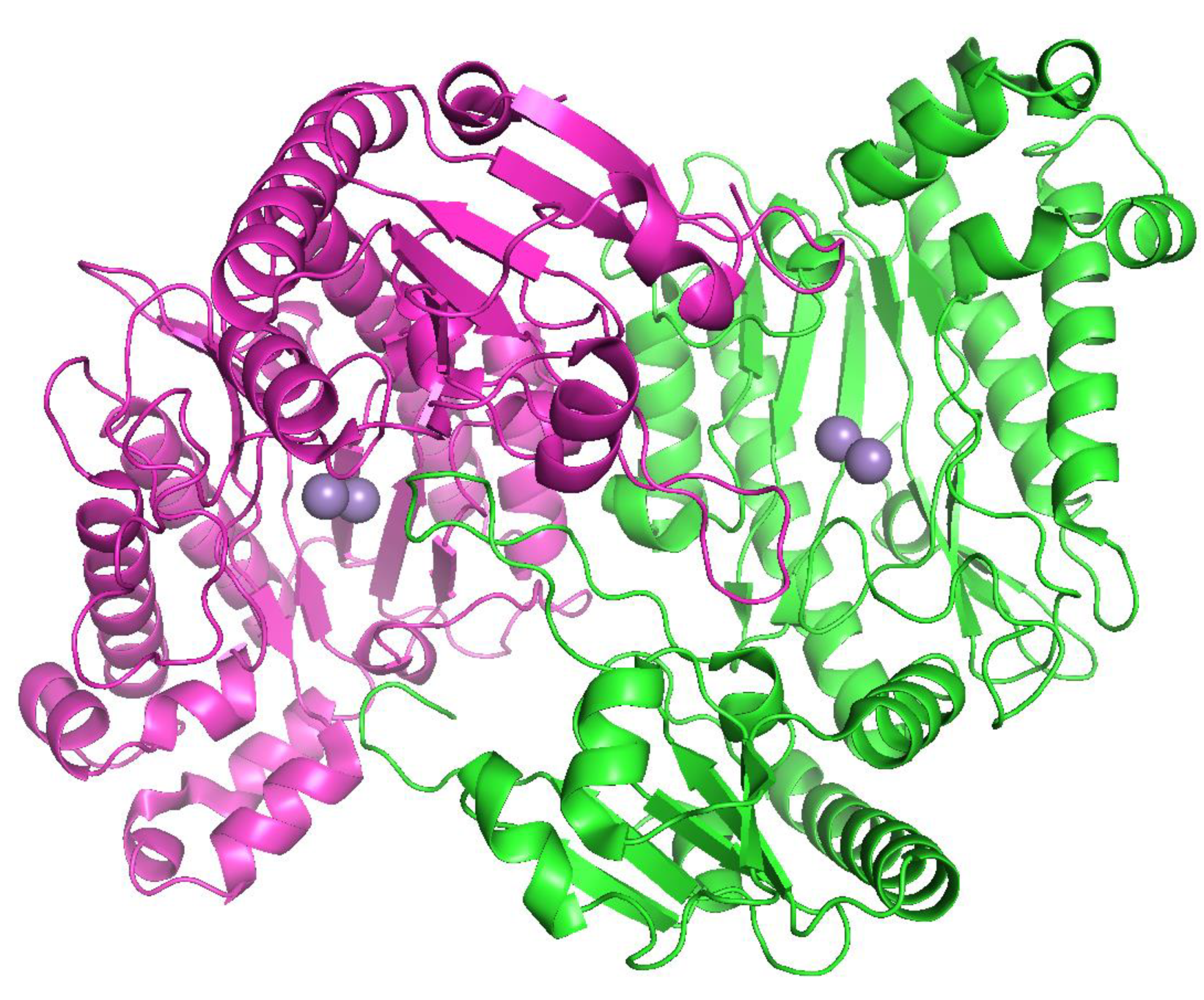 Catalysts 10 01365 g003