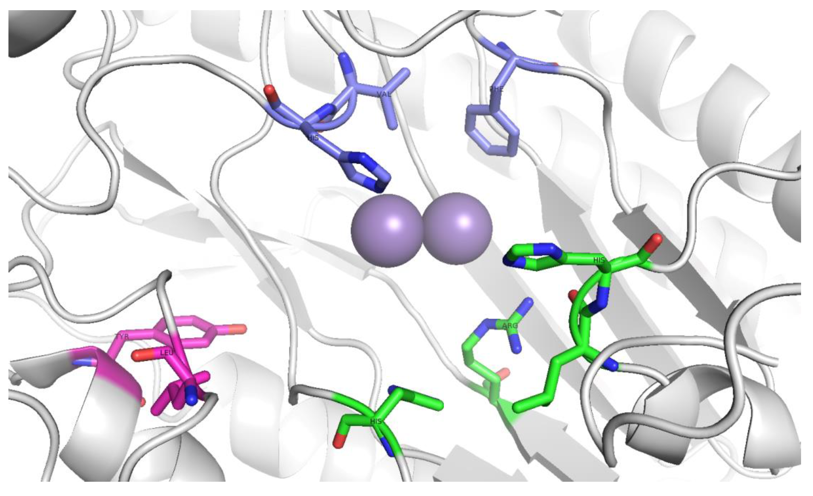 Catalysts 10 01365 g004