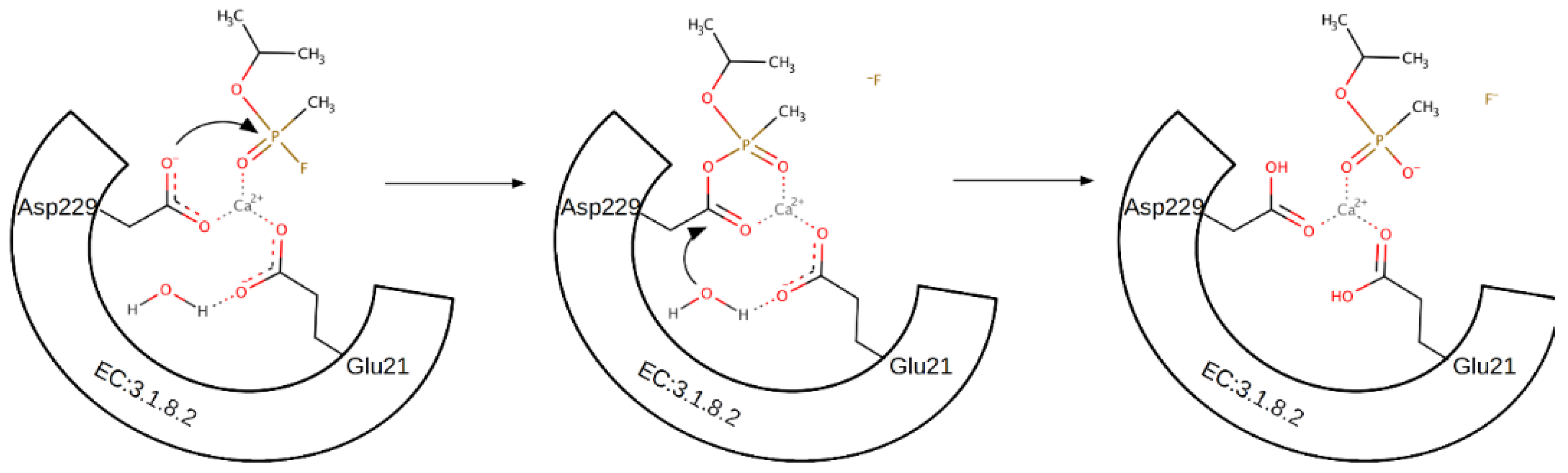 Catalysts 10 01365 sch003
