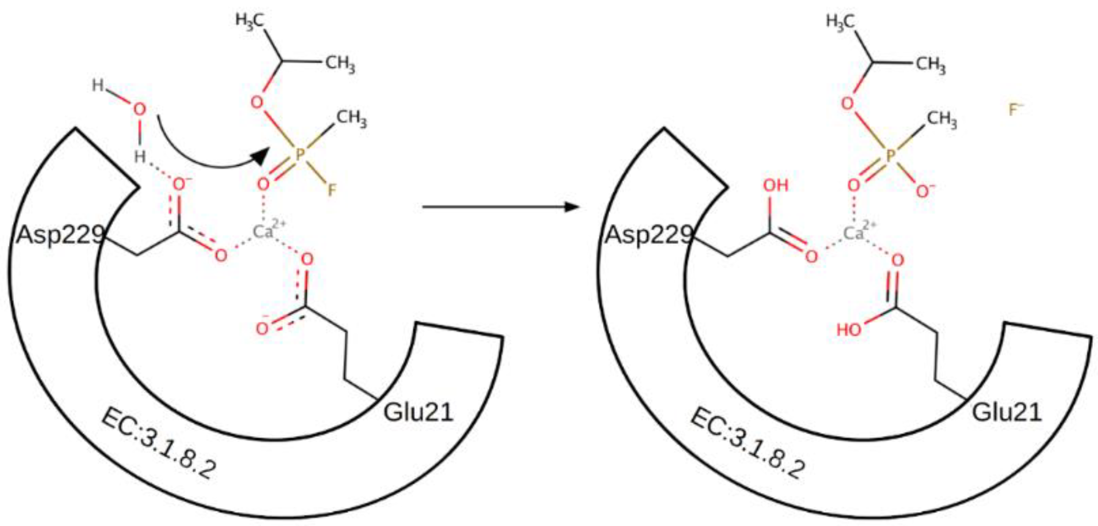 Catalysts 10 01365 sch004