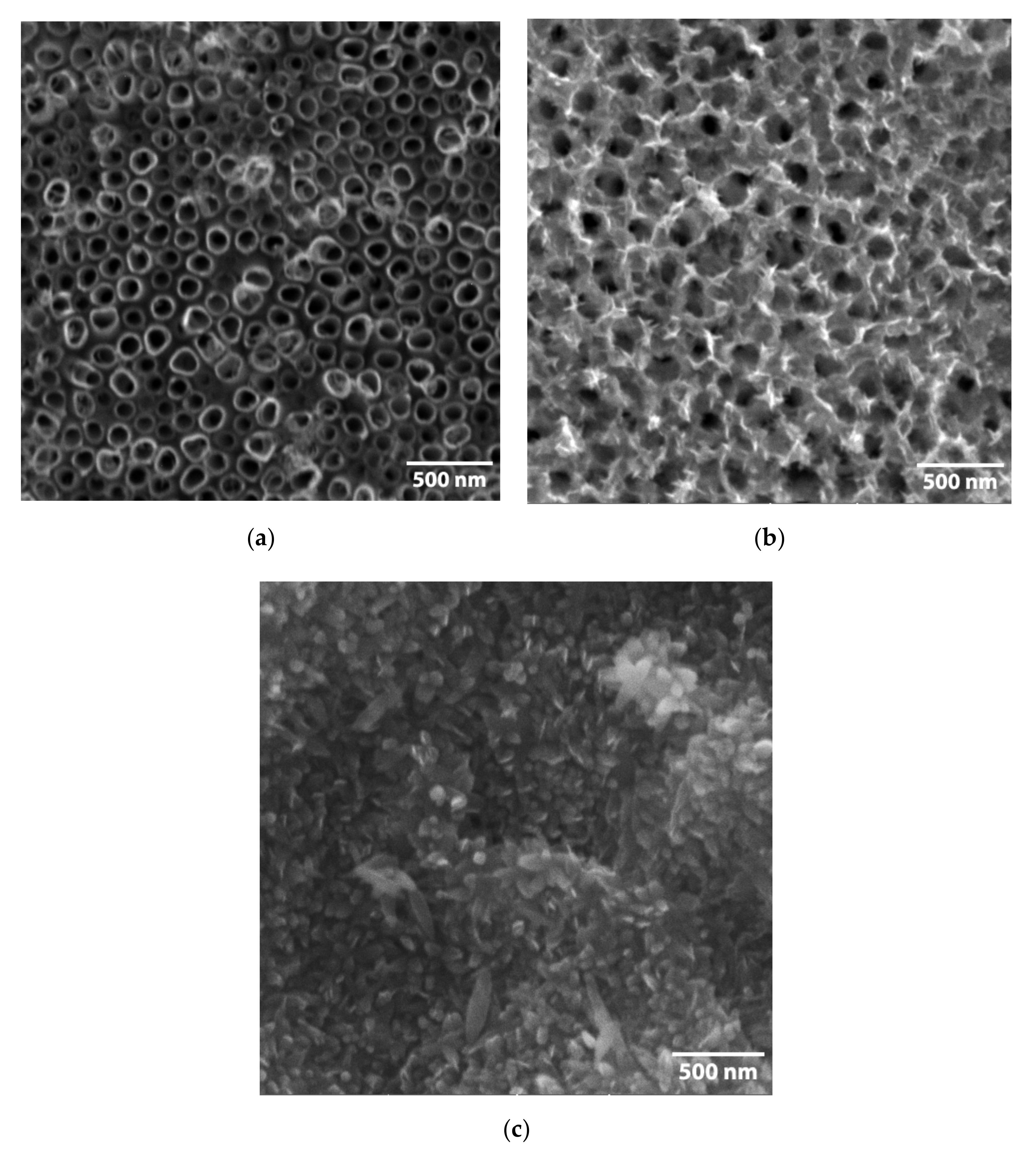 Catalysts 10 01371 g002